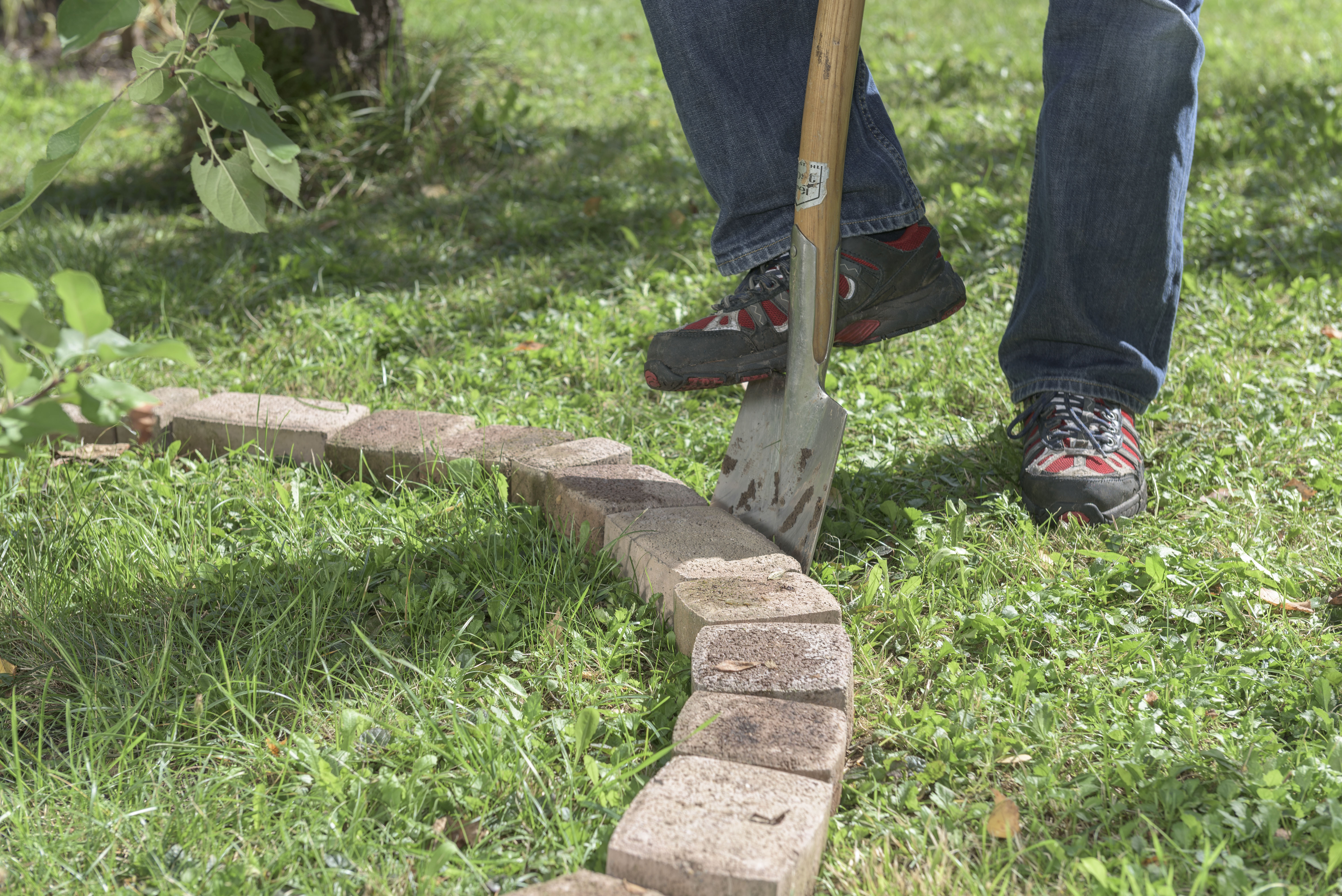 Valaki éppen körbeszúrja a fatörzs körüli szegélyhez lerakott kövek külső szélét.