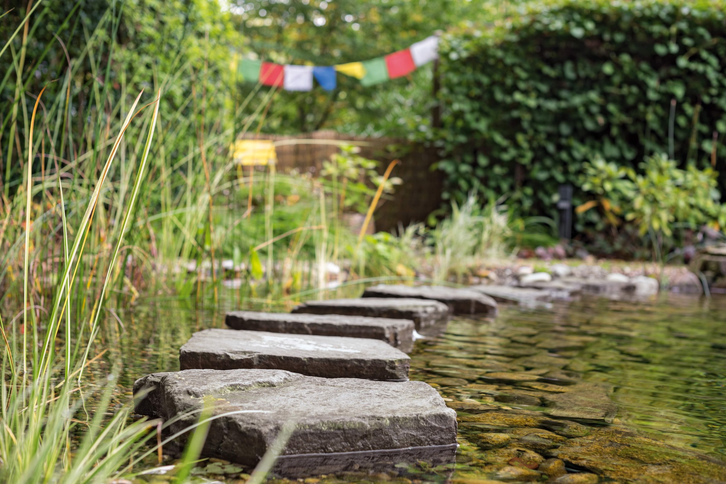 Laghetto piatto in un giardino amico degli insetti