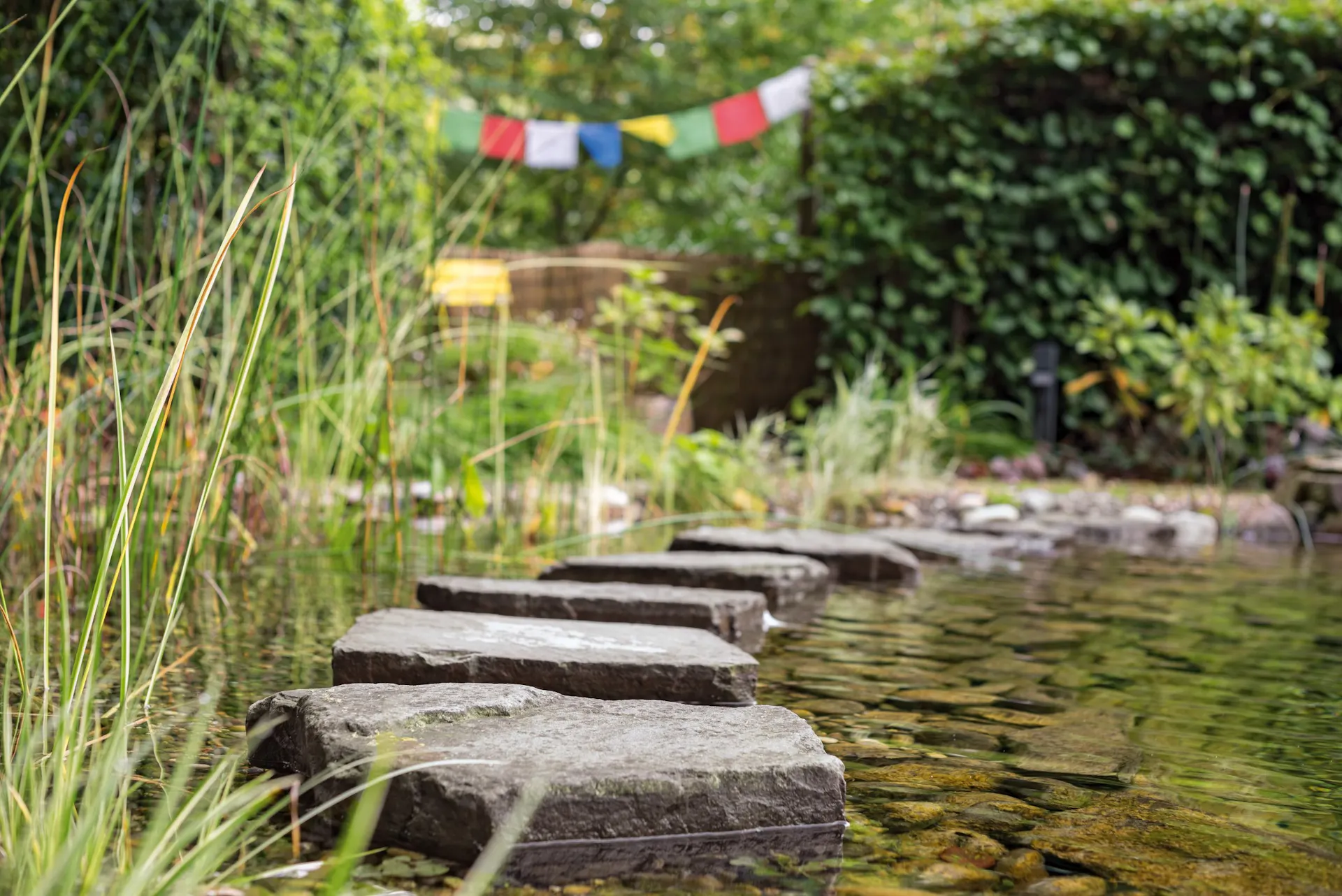 Un étang plat comme point d'eau dans un jardin accueillant pour les insectes