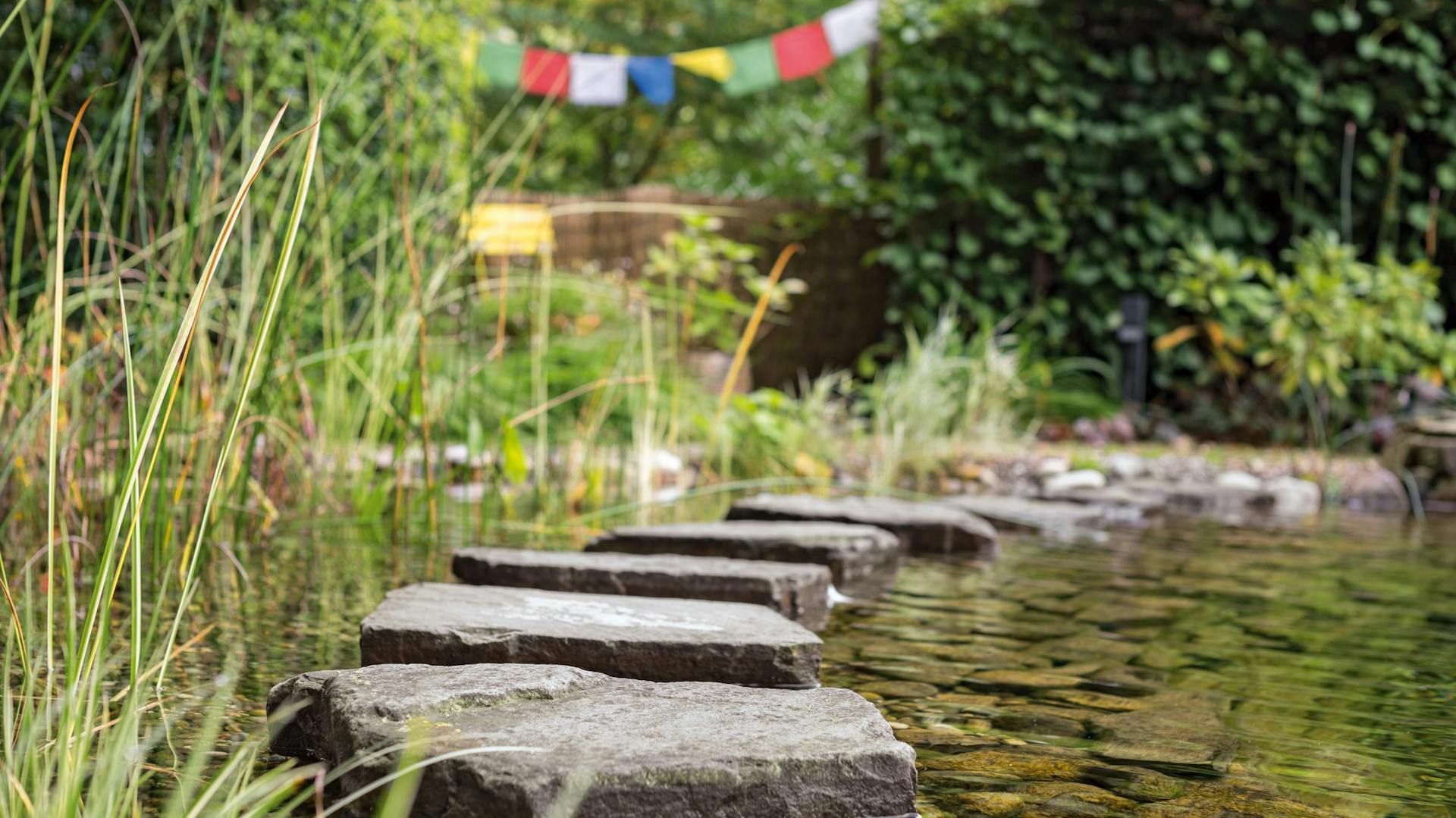 Laghetto piatto in un giardino amico degli insetti