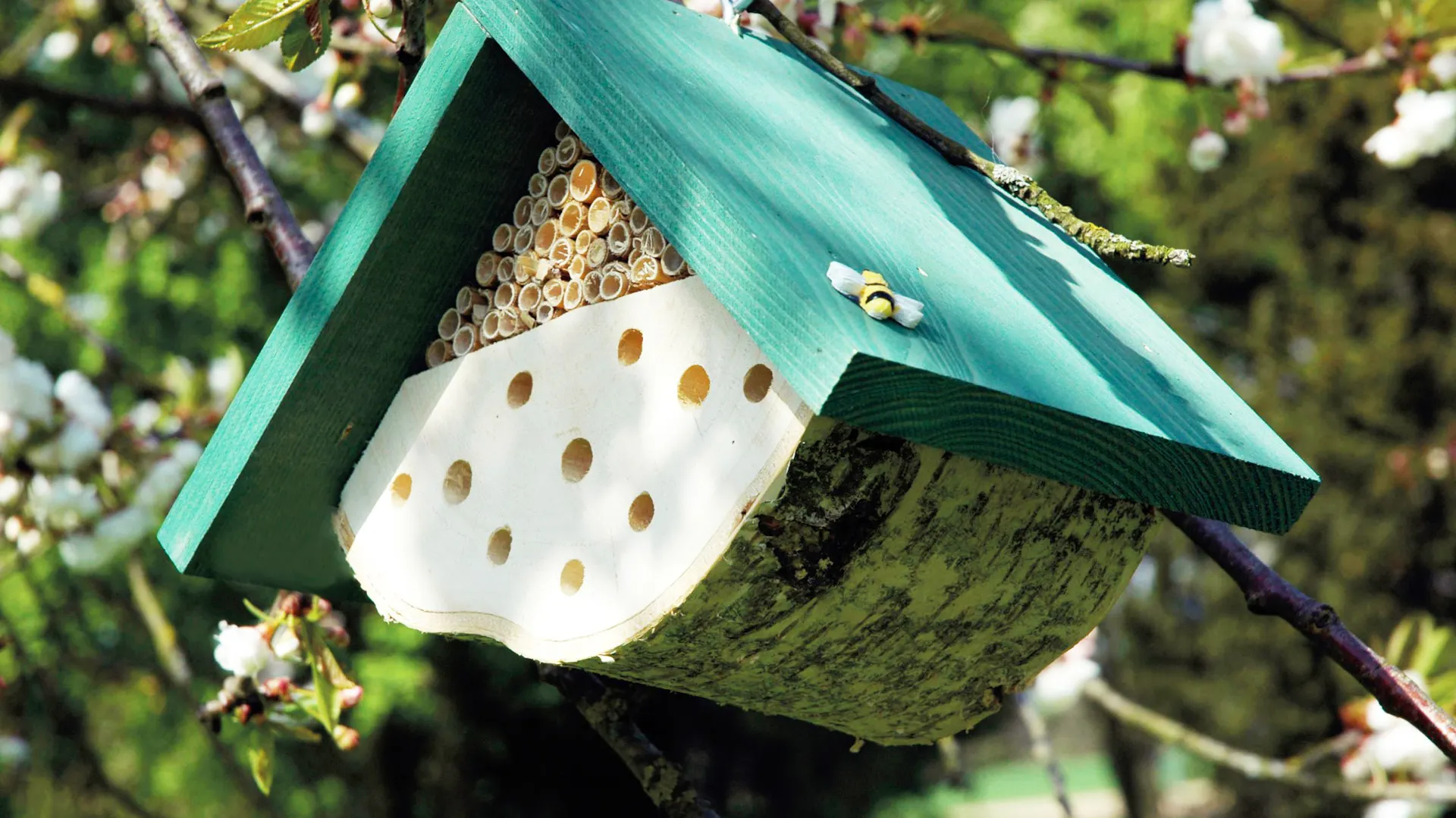 Hotel per insetti sull’albero