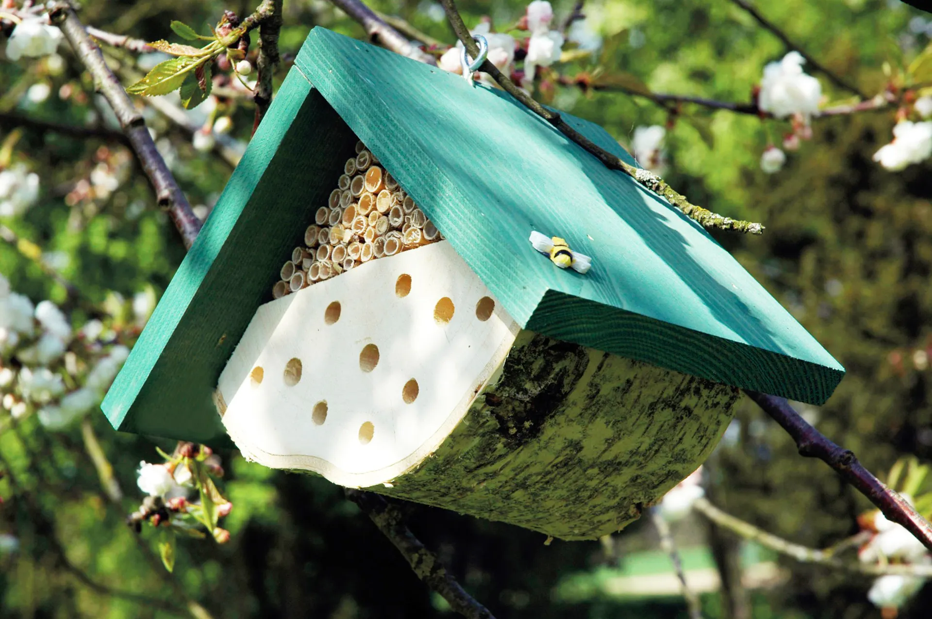 Hôtel à insectes à suspendre pour abeilles