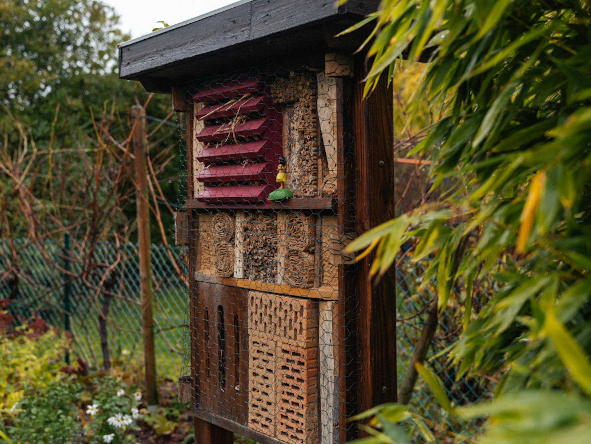 Casetta per insetti in un giardino
