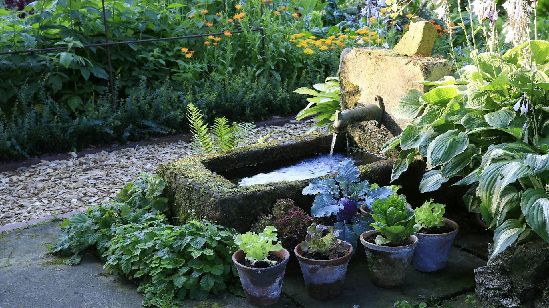 Ein von Pflanzen umrandeter Steinbrunnen im Garten