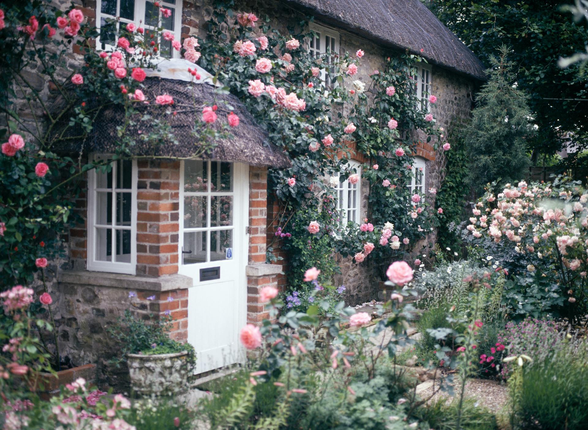 Rózsák egy vidéki kertben