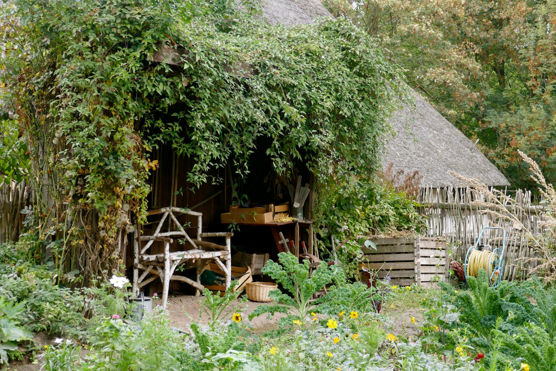 Vidéki kert sűrű növényzettel