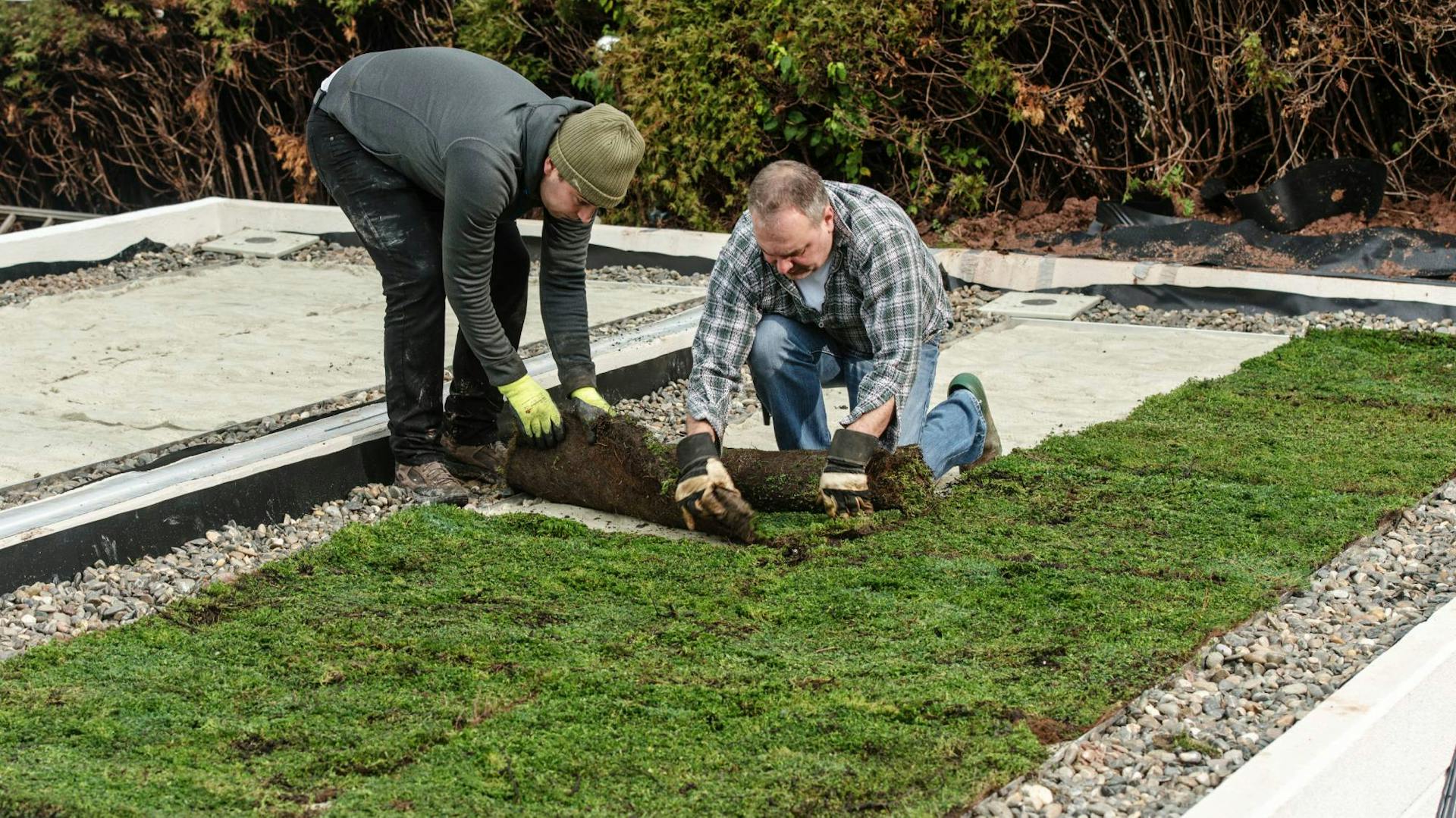 Dachbegrünung ausrollen