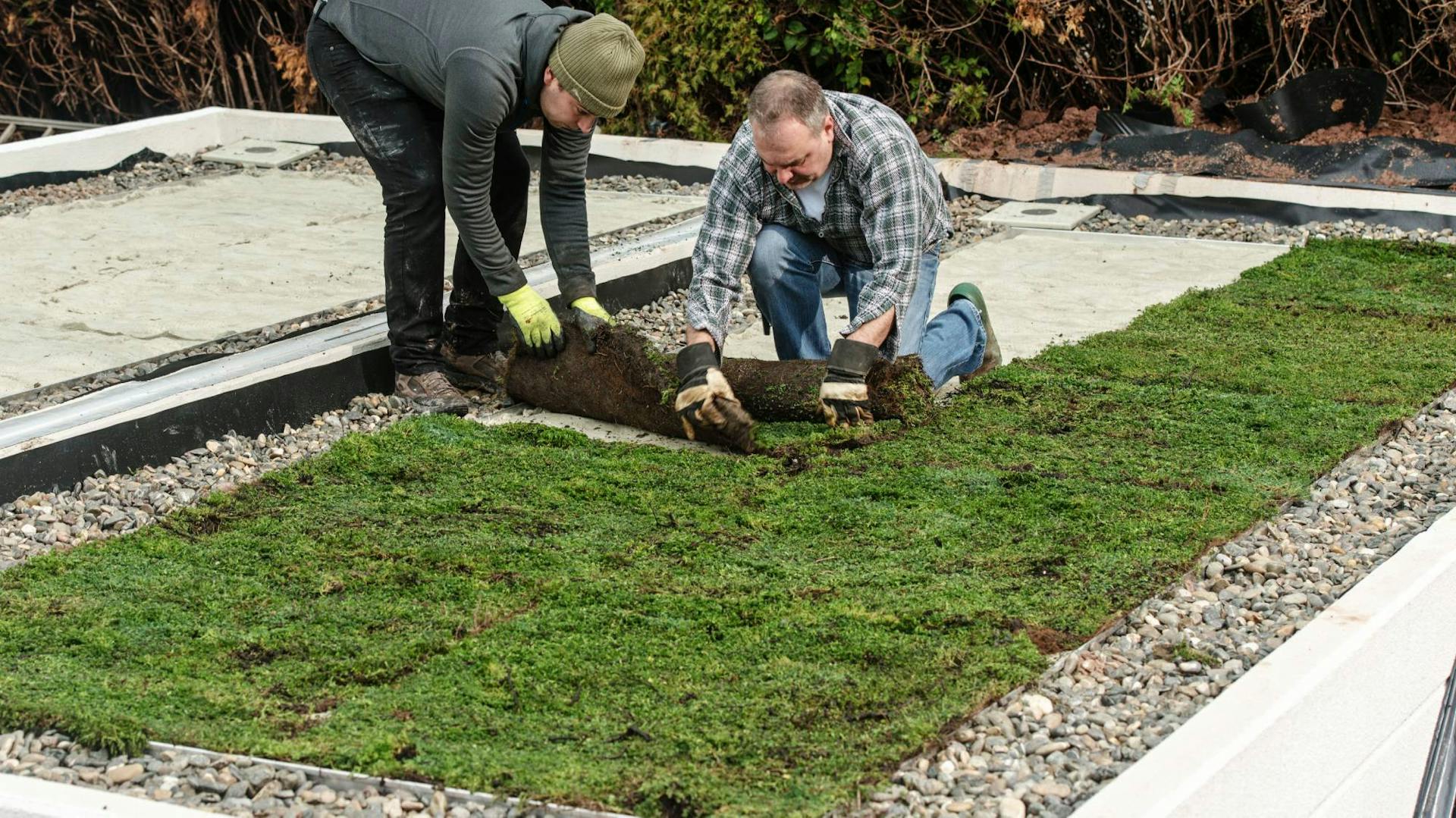 Zwei Heimwerker verlegen Rollrasen zur Dachbegrünung auf einem Hausdach.