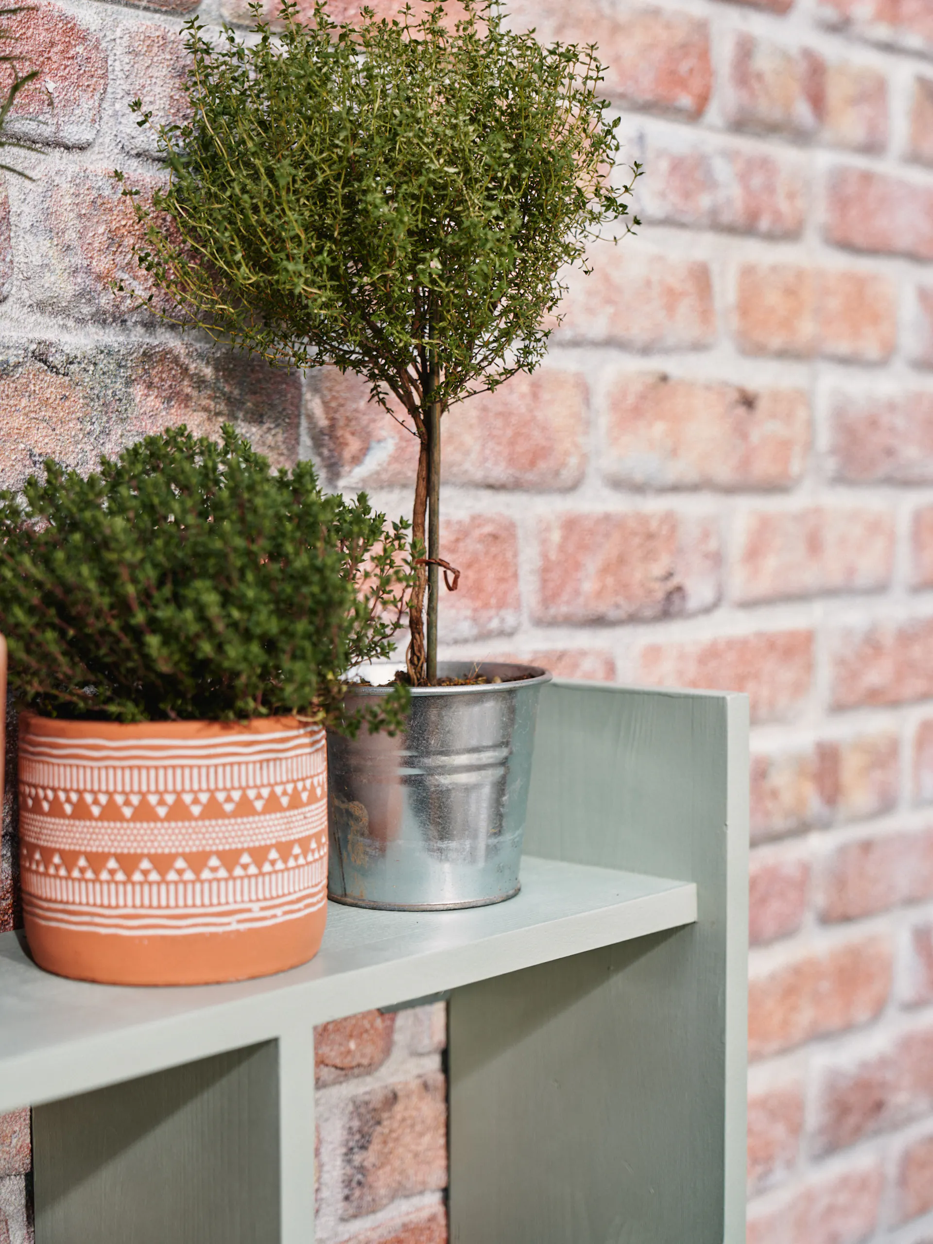 Police grilovacího stolu s rostlinami