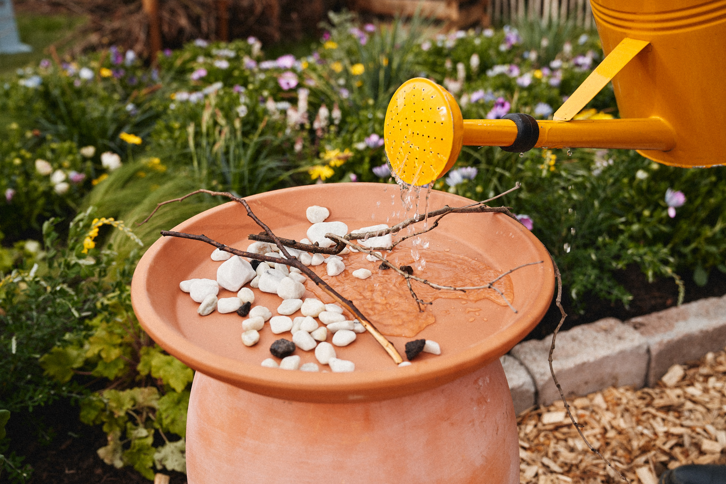 Vizet öntenek az itatóba egy locsolókanna segítségével.