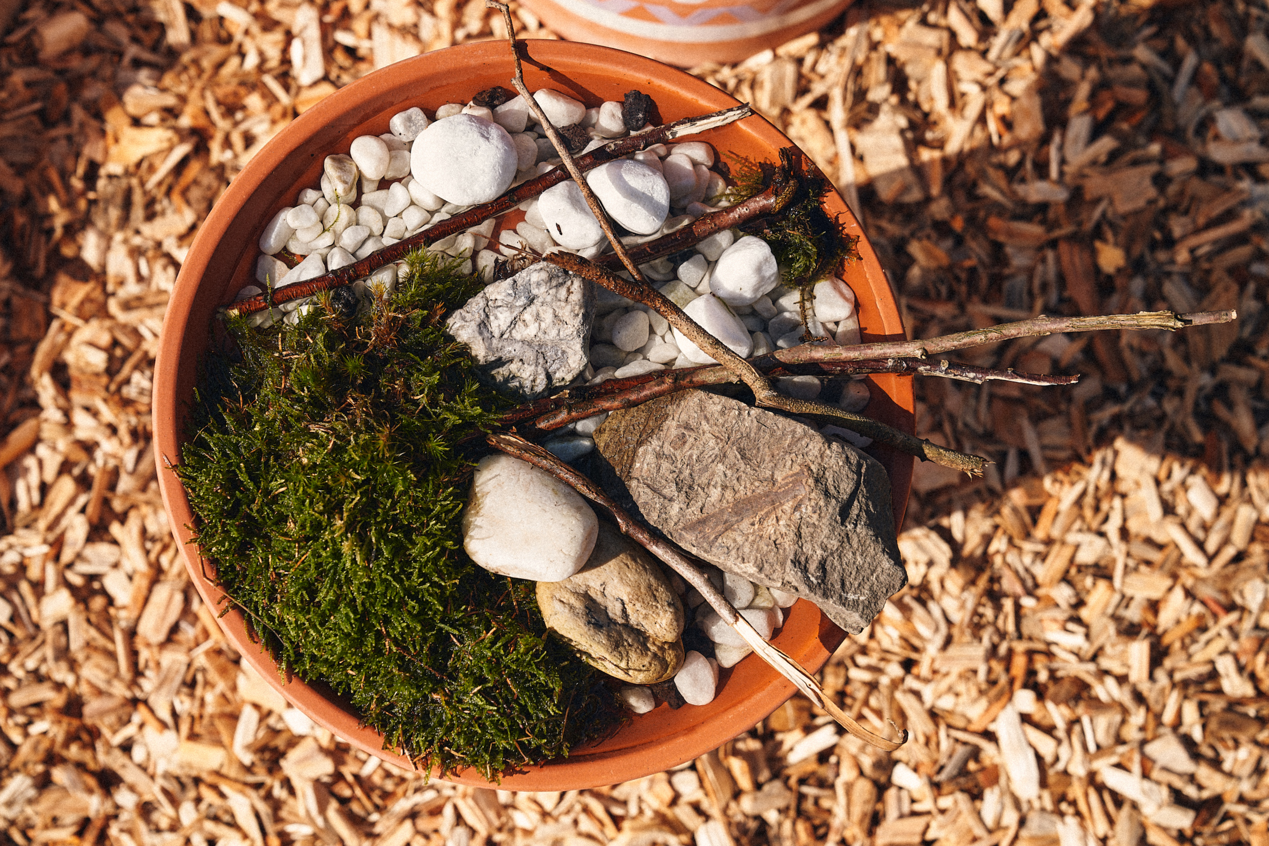 Állatitató felülről fényképezve, tele mohával, ágakkal és kavicsokkal.