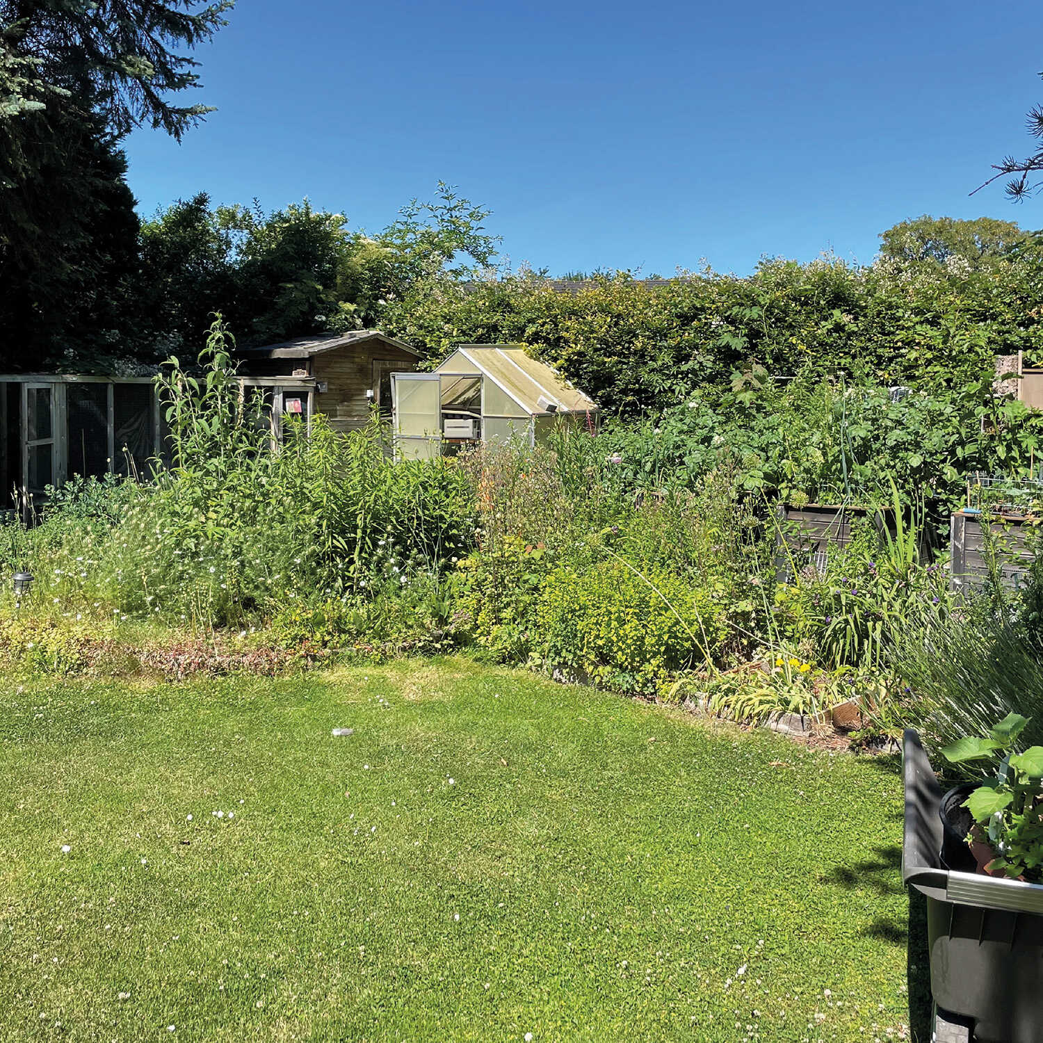 Ein Garten mit vielen Pflanzen, vor denen ein Rasen ist