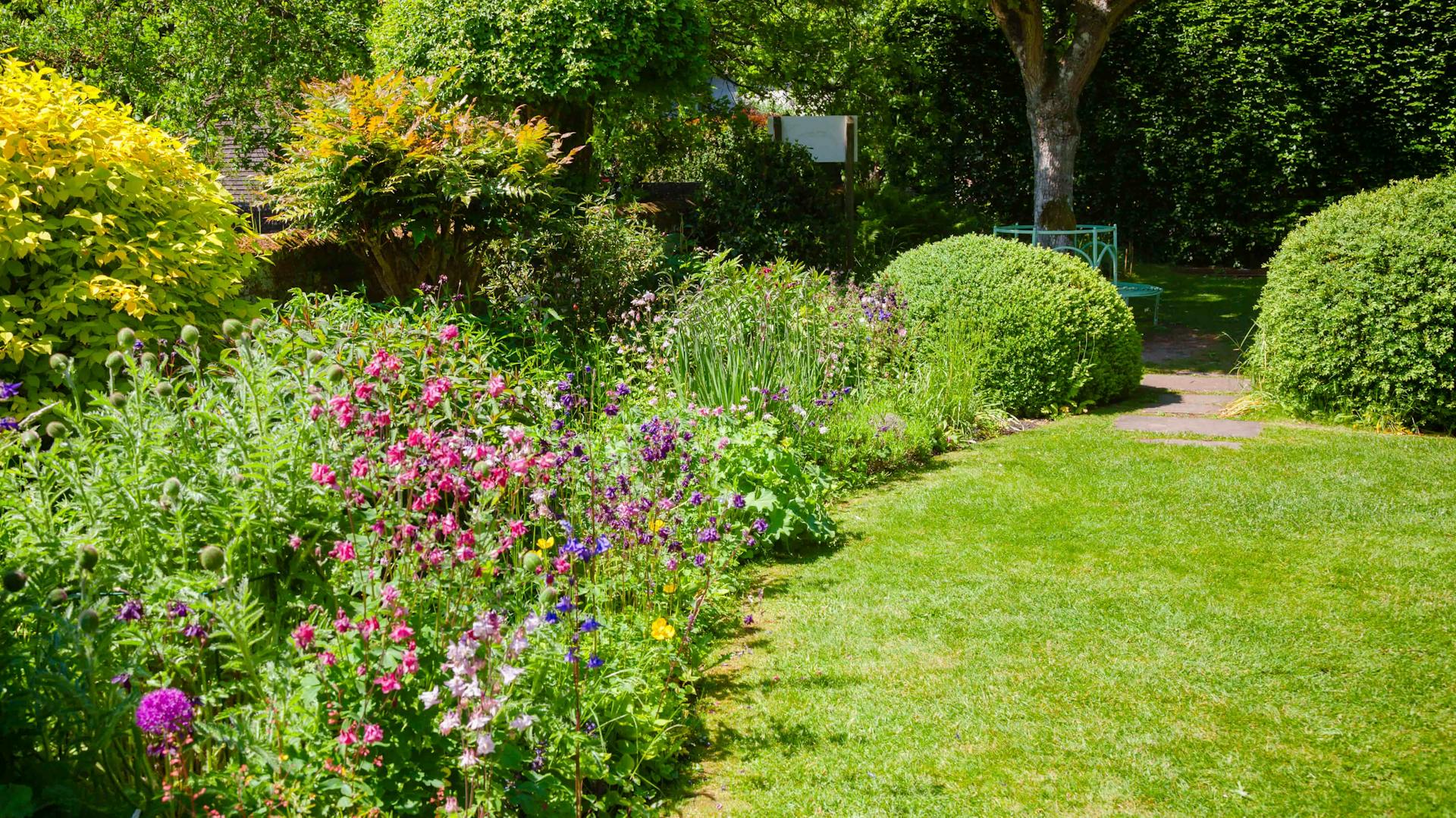 Staudenbeet neben Rasenfläche im Garten