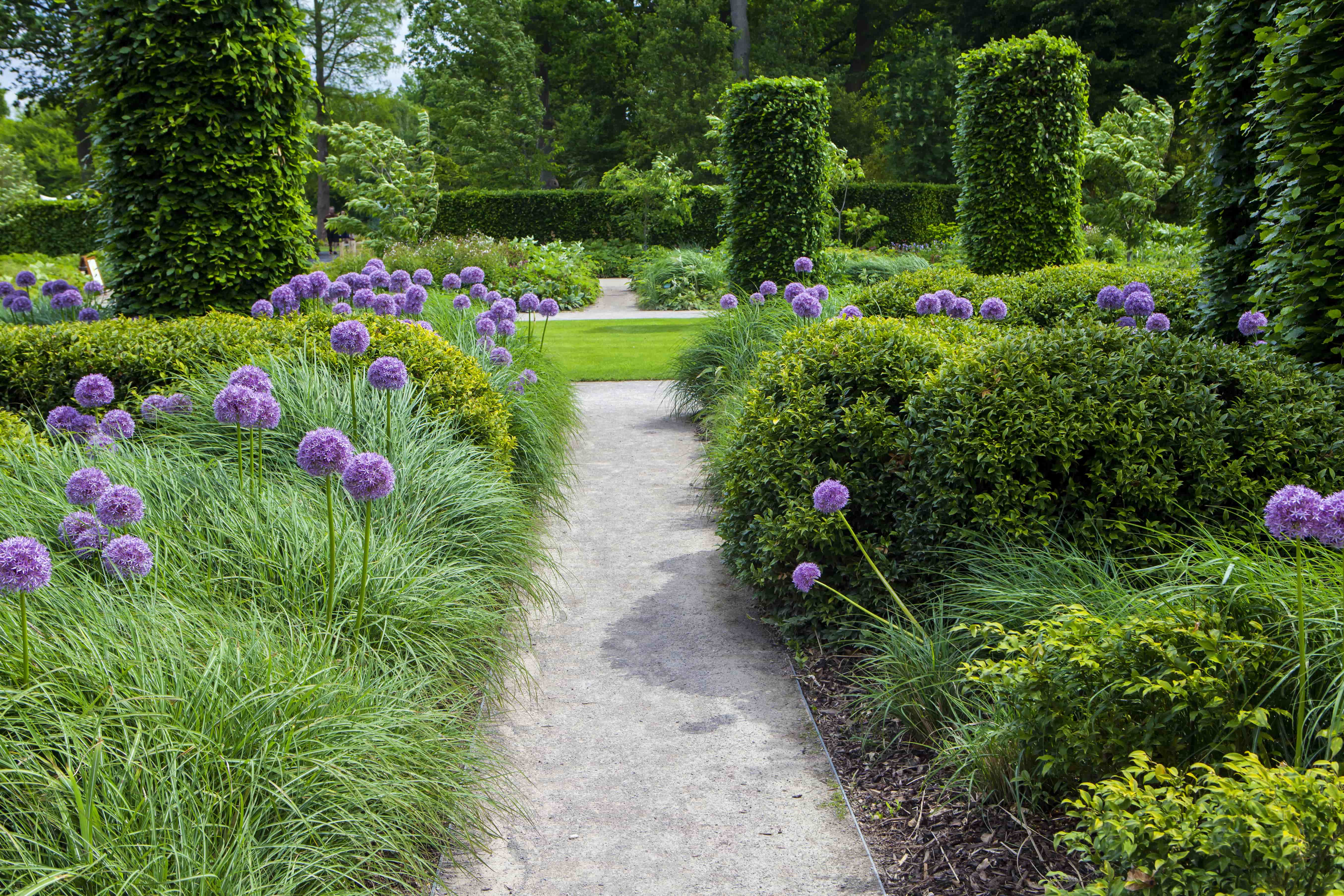 Englischen Garten anlegen Inspiration & Tipps OBI