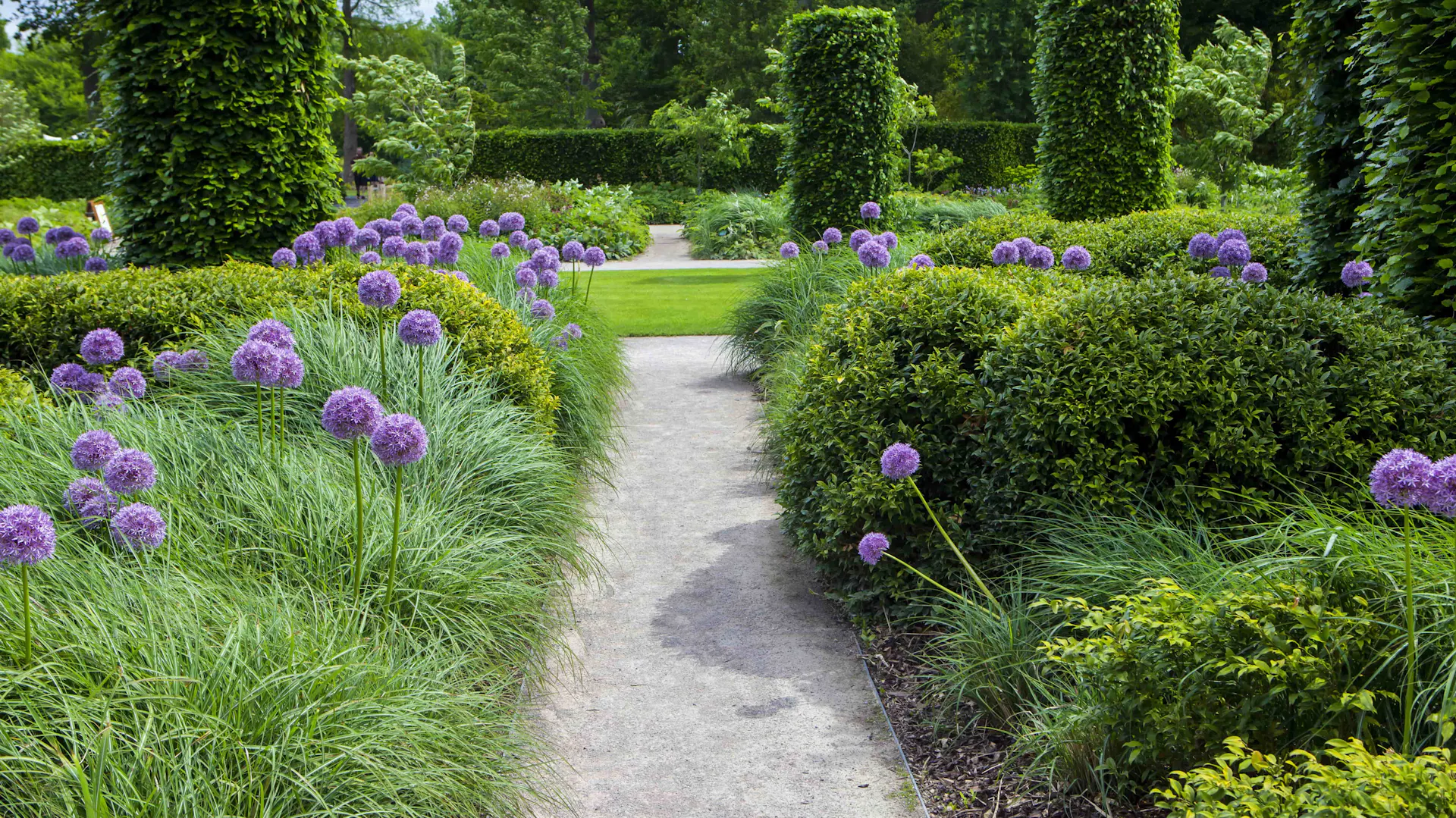 Von Staudenhecken umsäumte Wege in einem englischen Garten