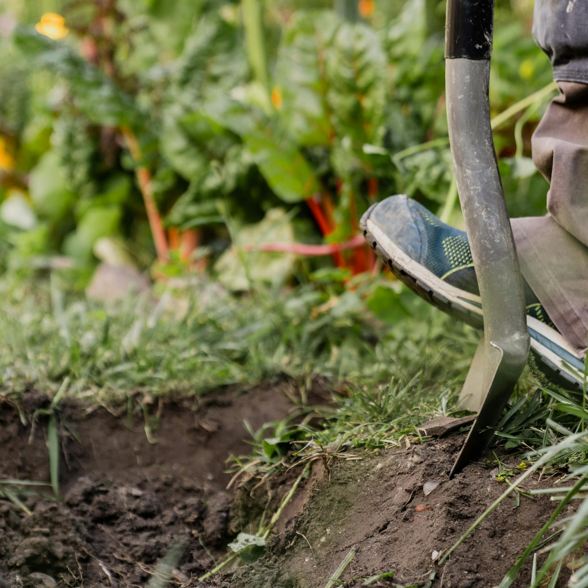 Un appassionato di fai-da-te scava una buca nel prato con una vanga