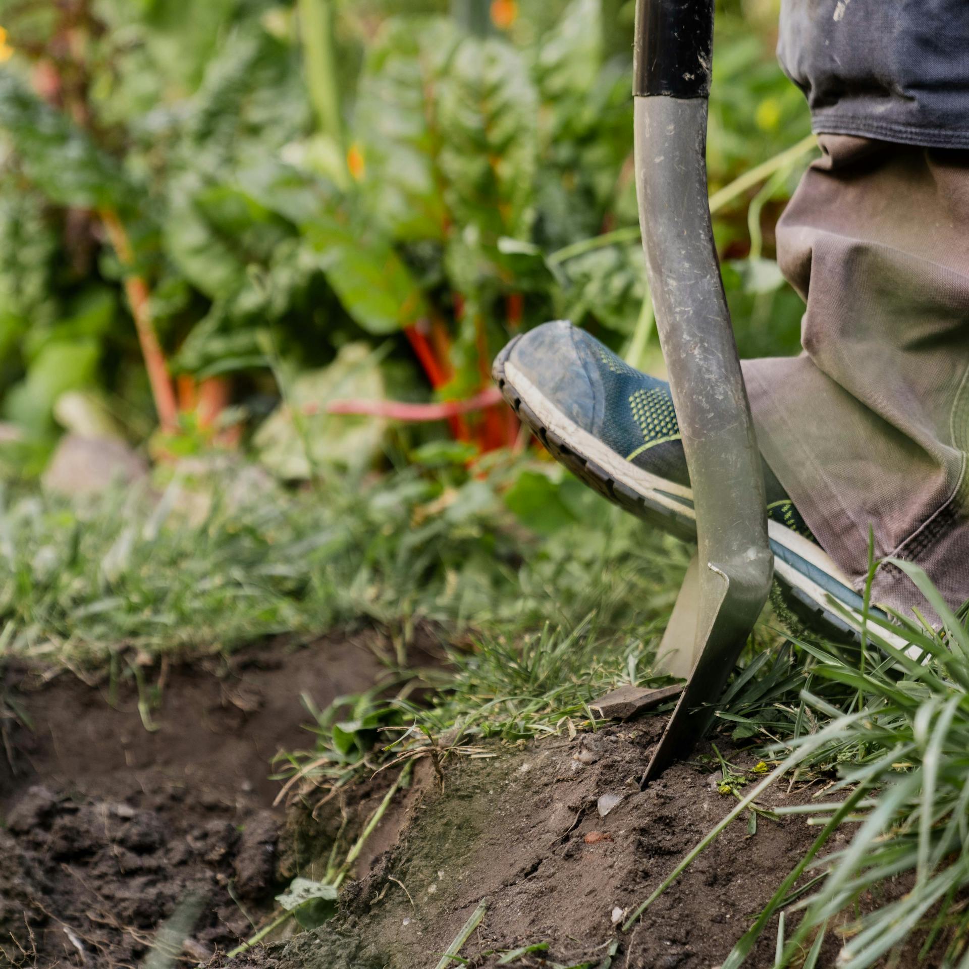 Údržbár zdvihne dieru z trávnika rýľom