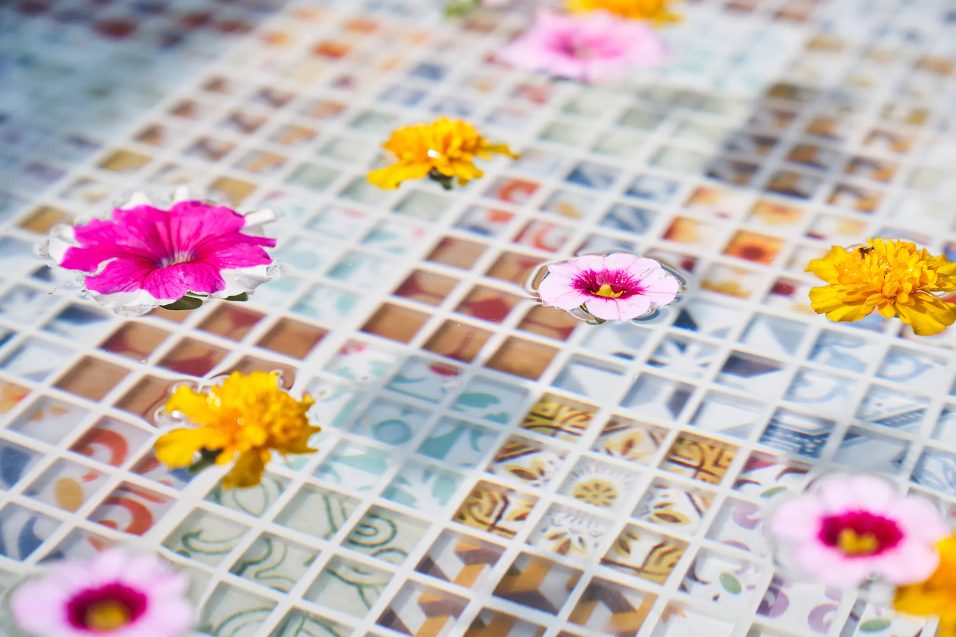 Primo piano di fiori sulla superficie dell'acqua di una vasca per pediluvio fai-da-te