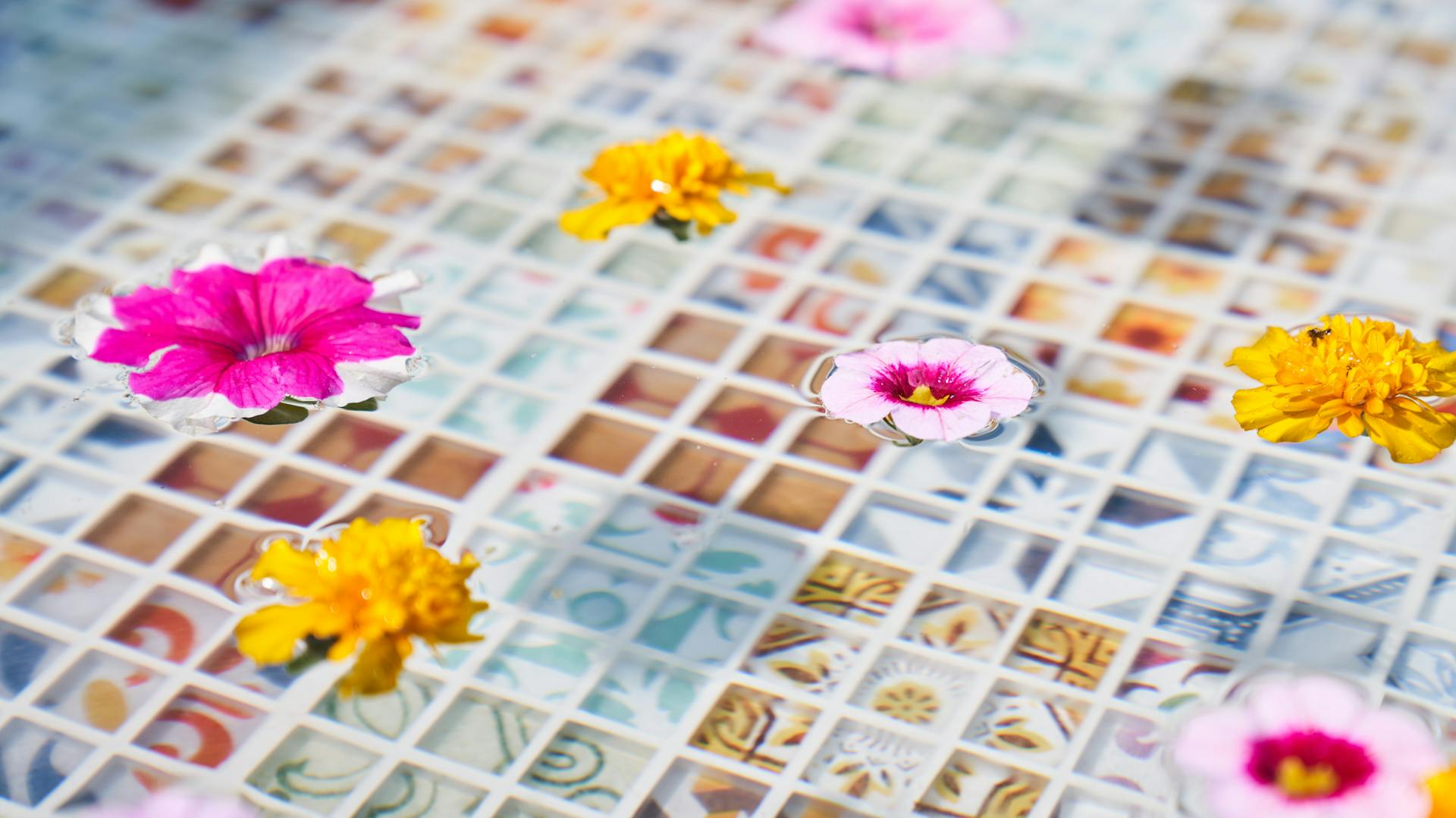 Nahaufnahme von Blumen auf Wasseroberfläche von selbstgebautem Fußbad