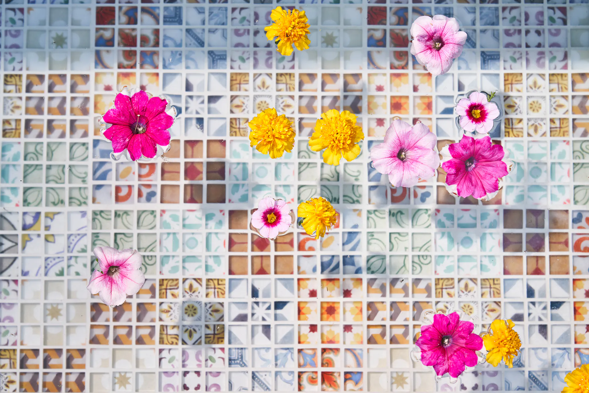 Fiori sulla superficie dell'acqua di una vasca per pediluvio fai-da-te