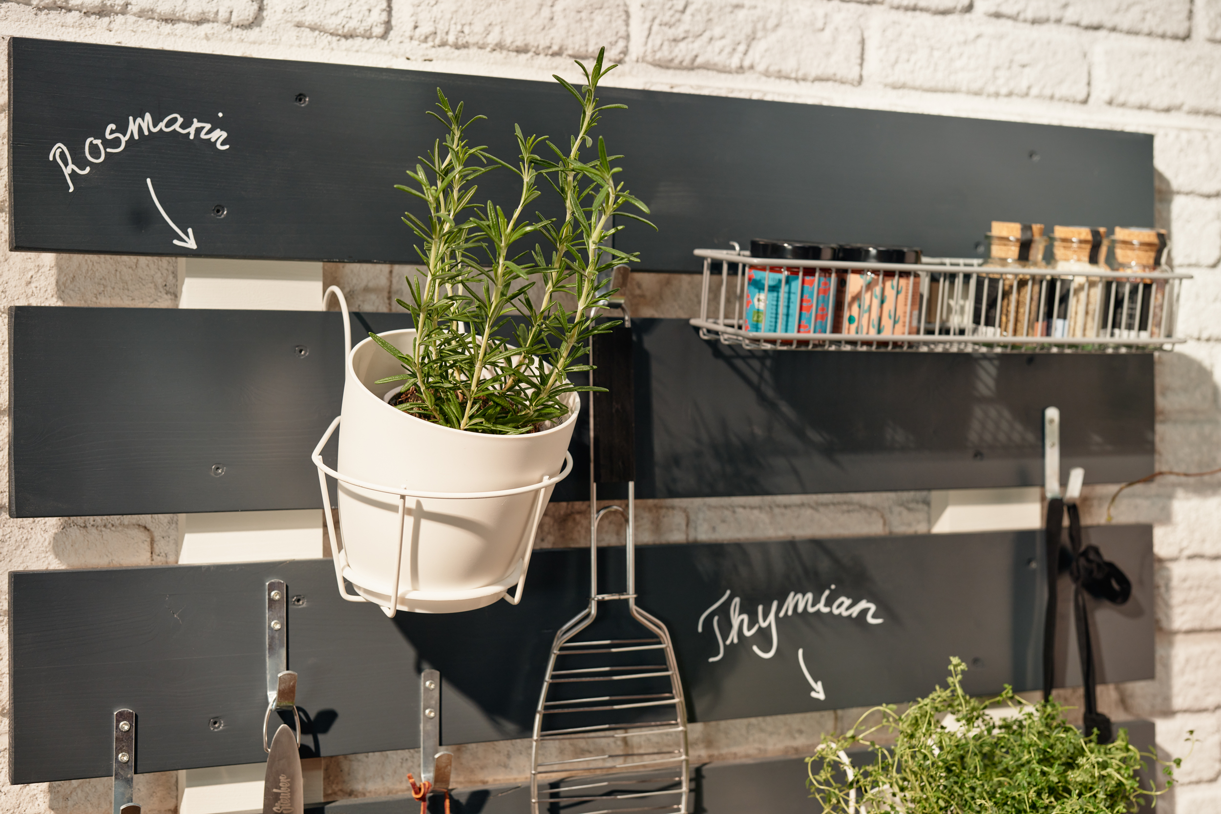 Rozmaring és fűszerek a kerti rendszerezőn