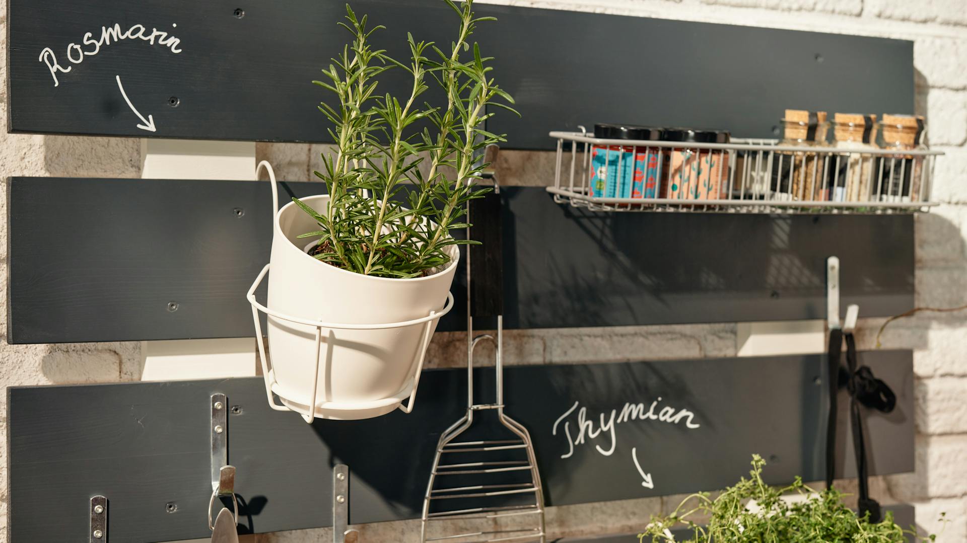 Rozmaring és fűszerek a kerti rendszerezőn