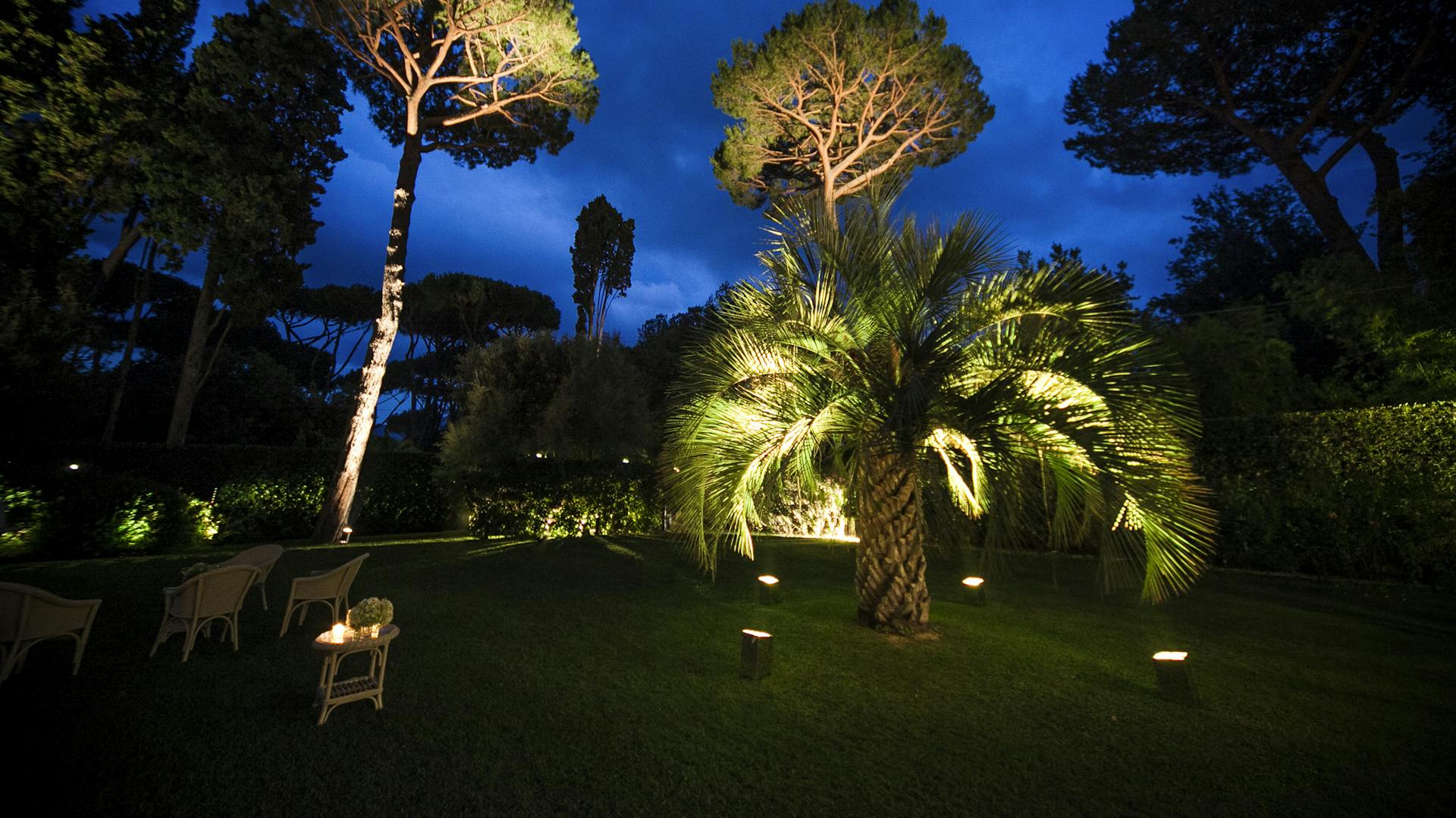 Delle grandi piante in un giardino vengono illuminate dal basso di notte.