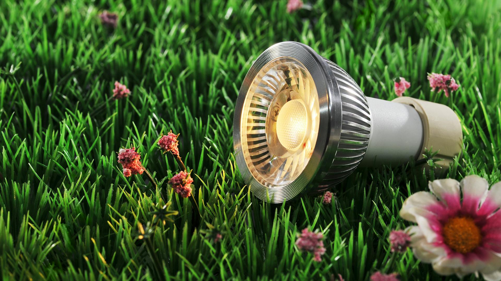 Un LED su un prato fiorito.