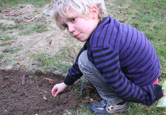 Il bambino semina in una nuova aiuola.
