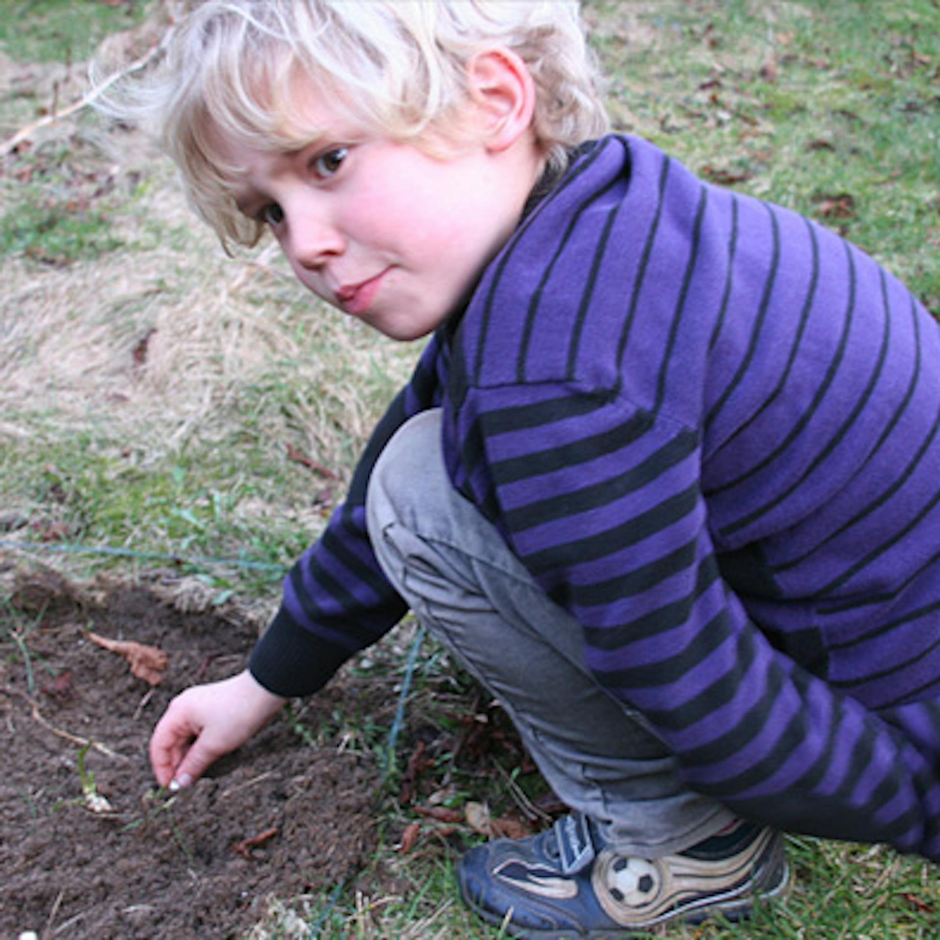 Il bambino semina in una nuova aiuola.