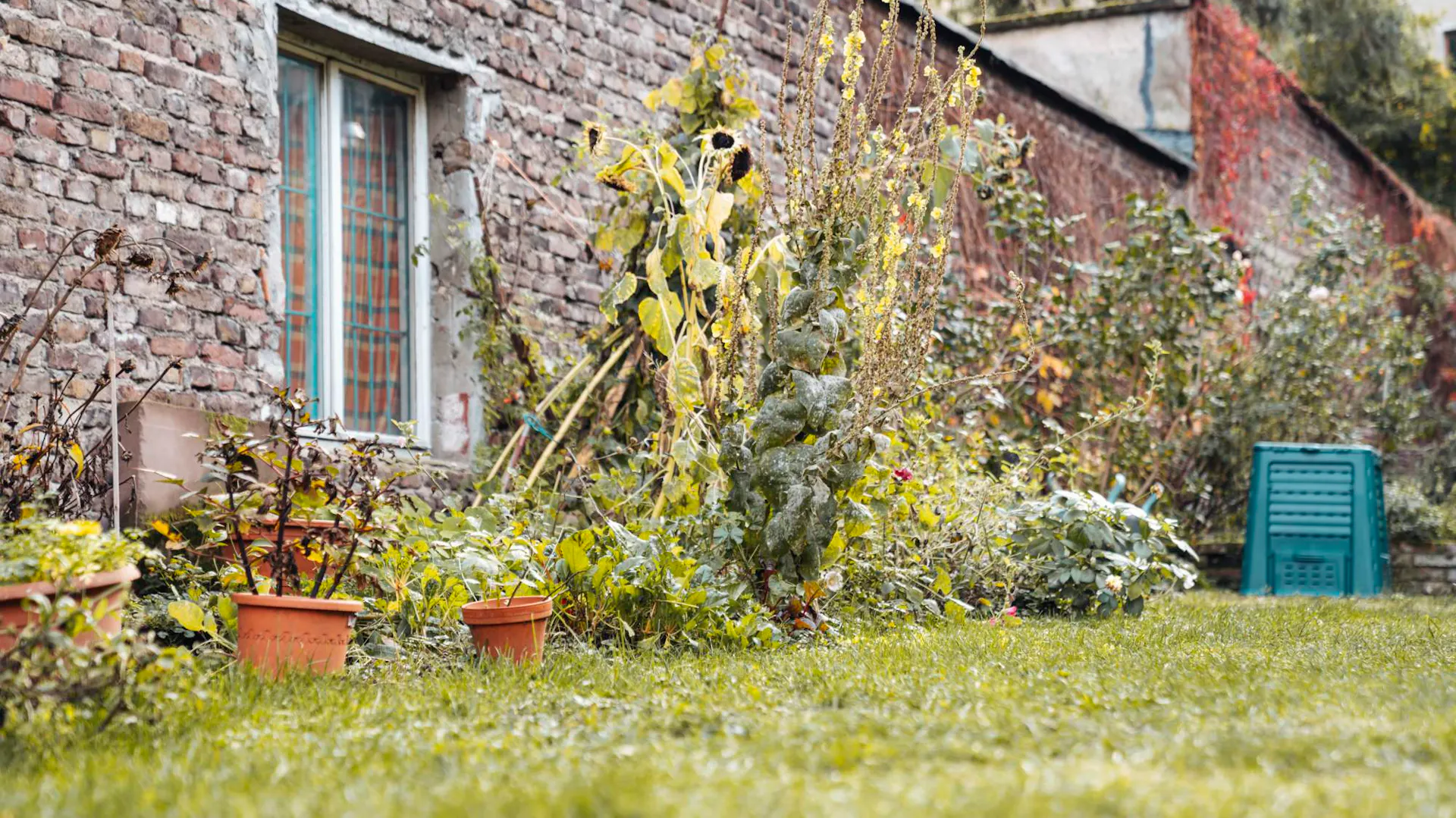 Naturnahe Gartengestaltung mit heimischen Pflanzen