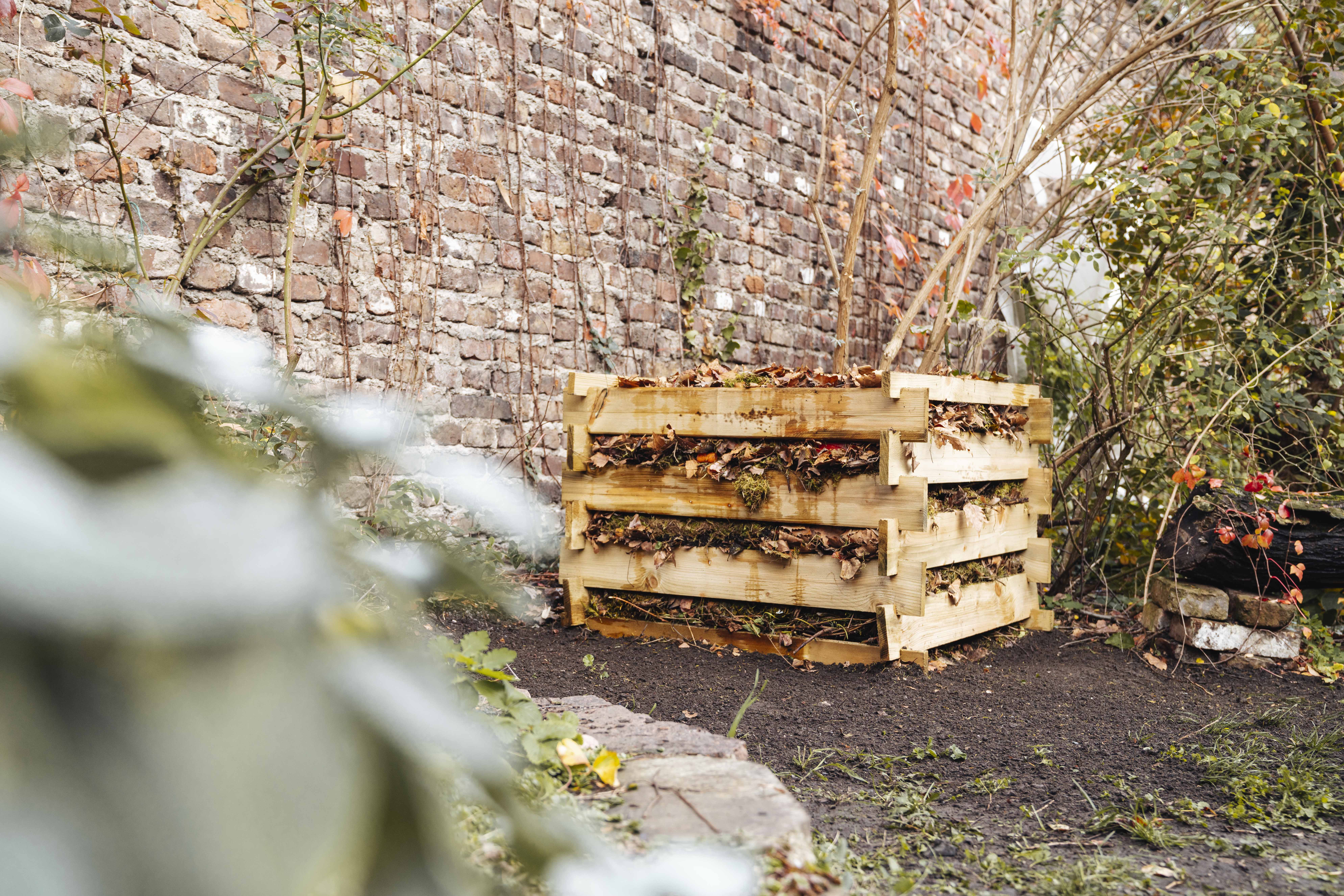 Naturgarten anlegen Tipps zur Gartengestaltung OBI