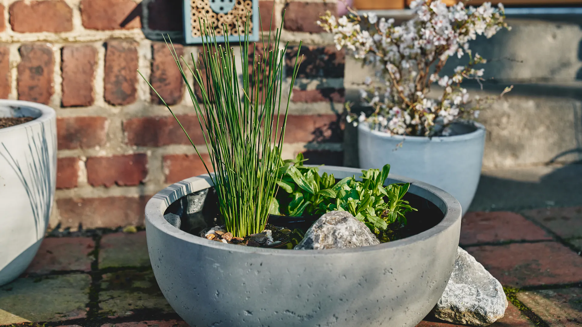 Miniteich mit Bepflanzung als Wasserstelle in naturnahem Garten