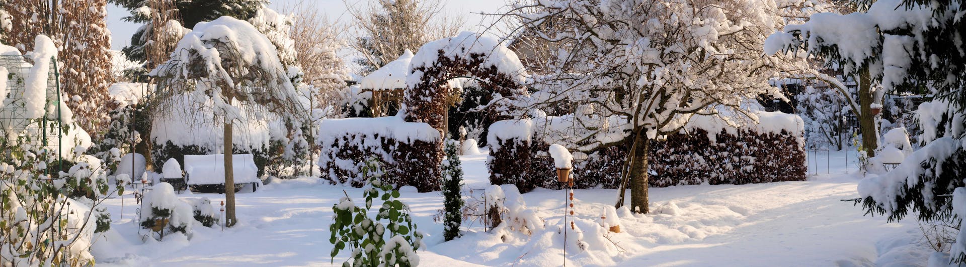 Schnee im Garten - was sollte man dagegen unternehmen?