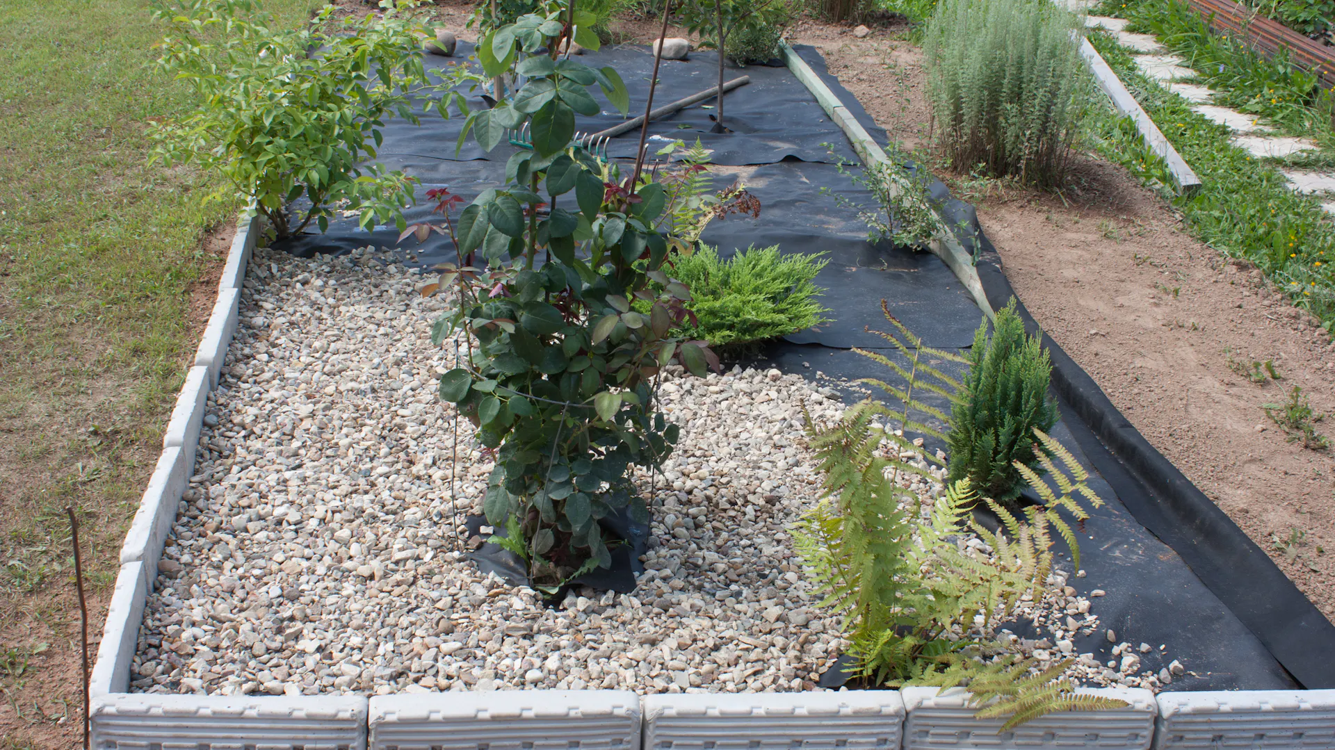 Kiesbeet im Garten