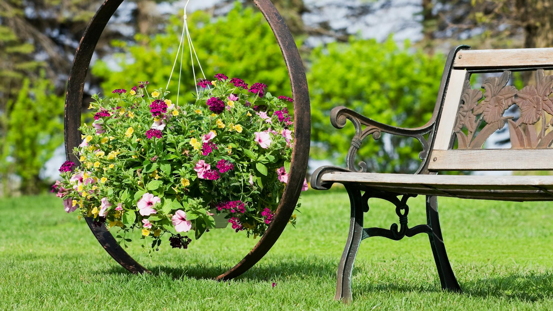 Eine Gartenbank aus Eisen und Holz neben einem Blumen-Arrangement im Garten.