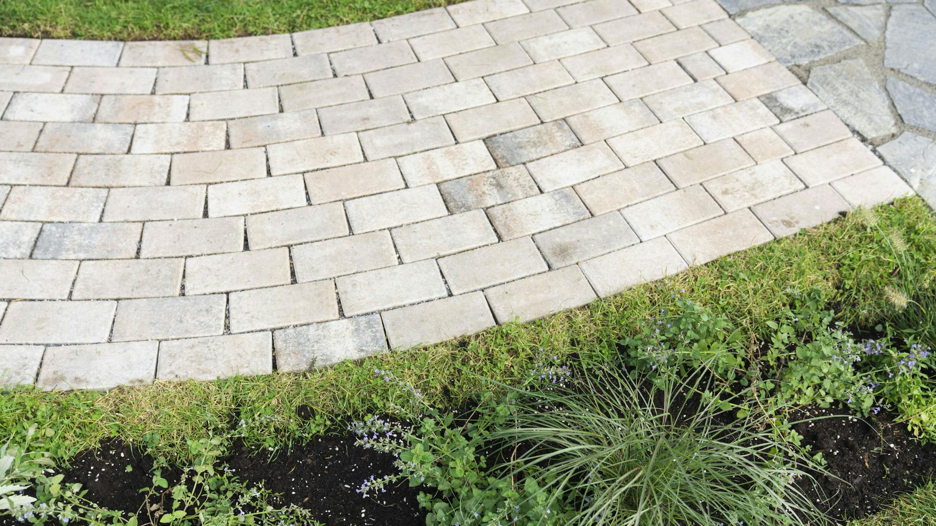In giardino il sentiero lastricato passa accanto al prato.
