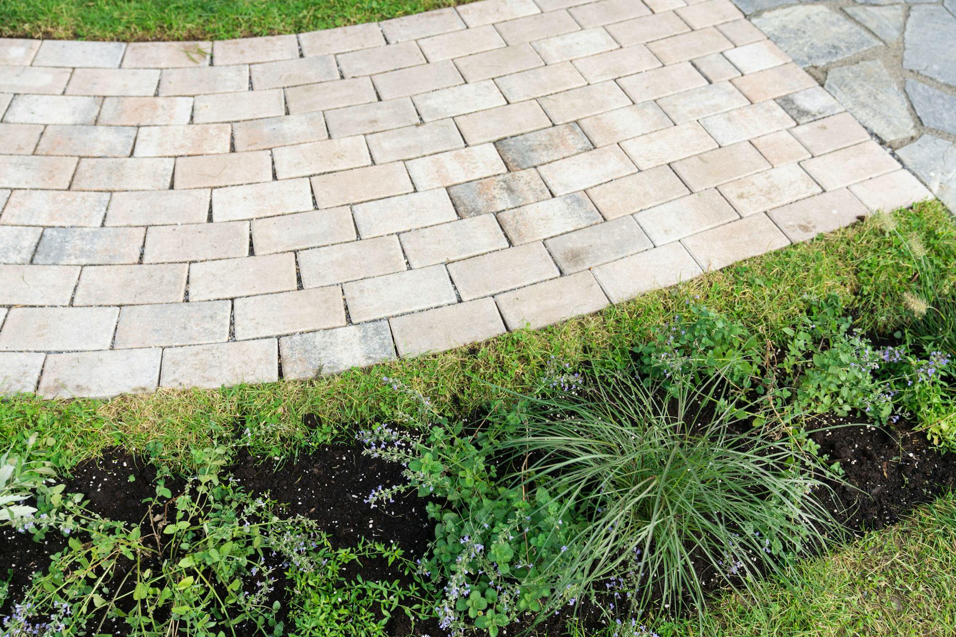 Egy térkövezett kerti járda.