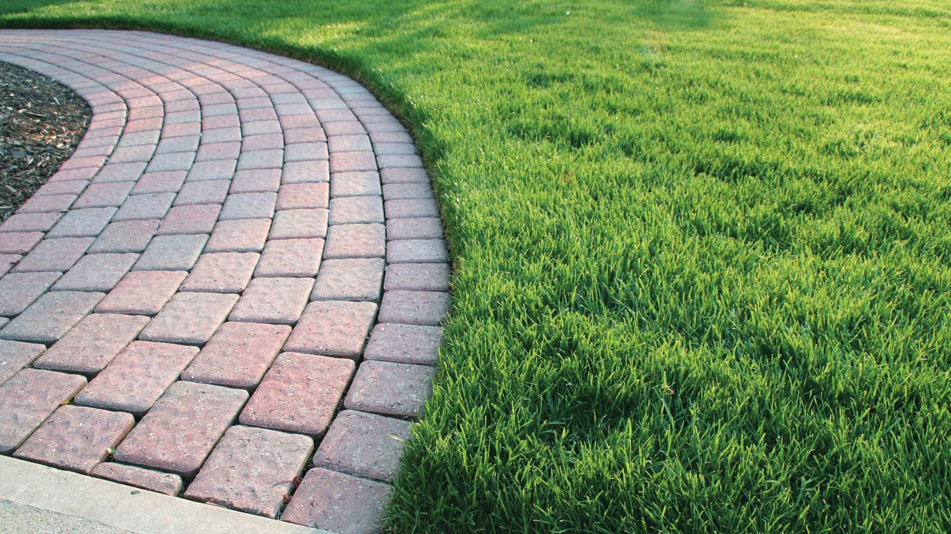 Gartenweg mit roten Pflastersteinen und Rasenfläche