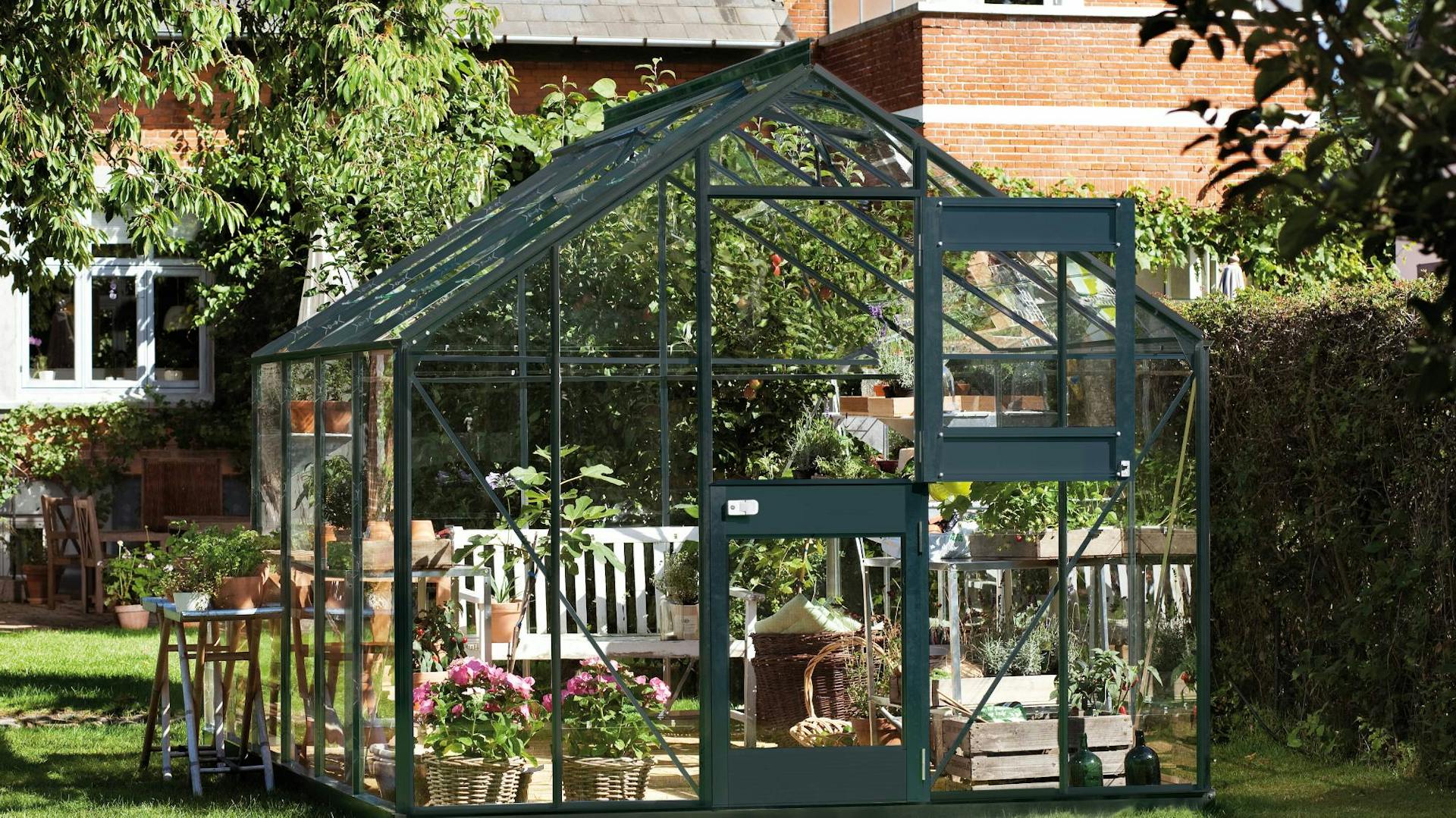 Üvegház virágokkal