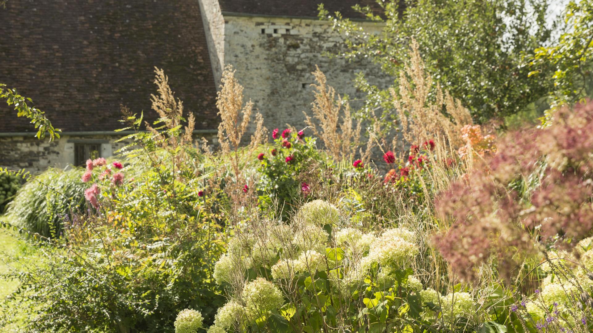 Verschiedene Gräser vor Steinhaus
