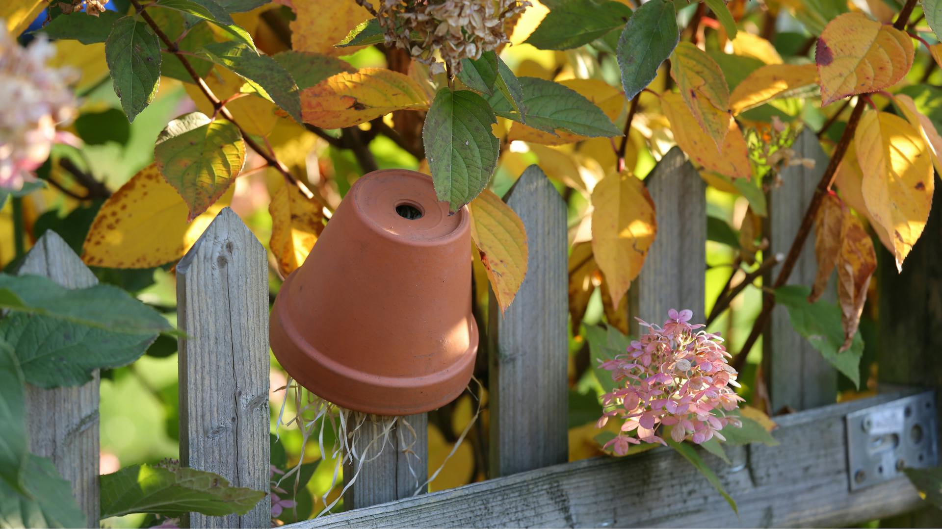 Ein brauner Terrakottatopf hängt an einem Zaun.