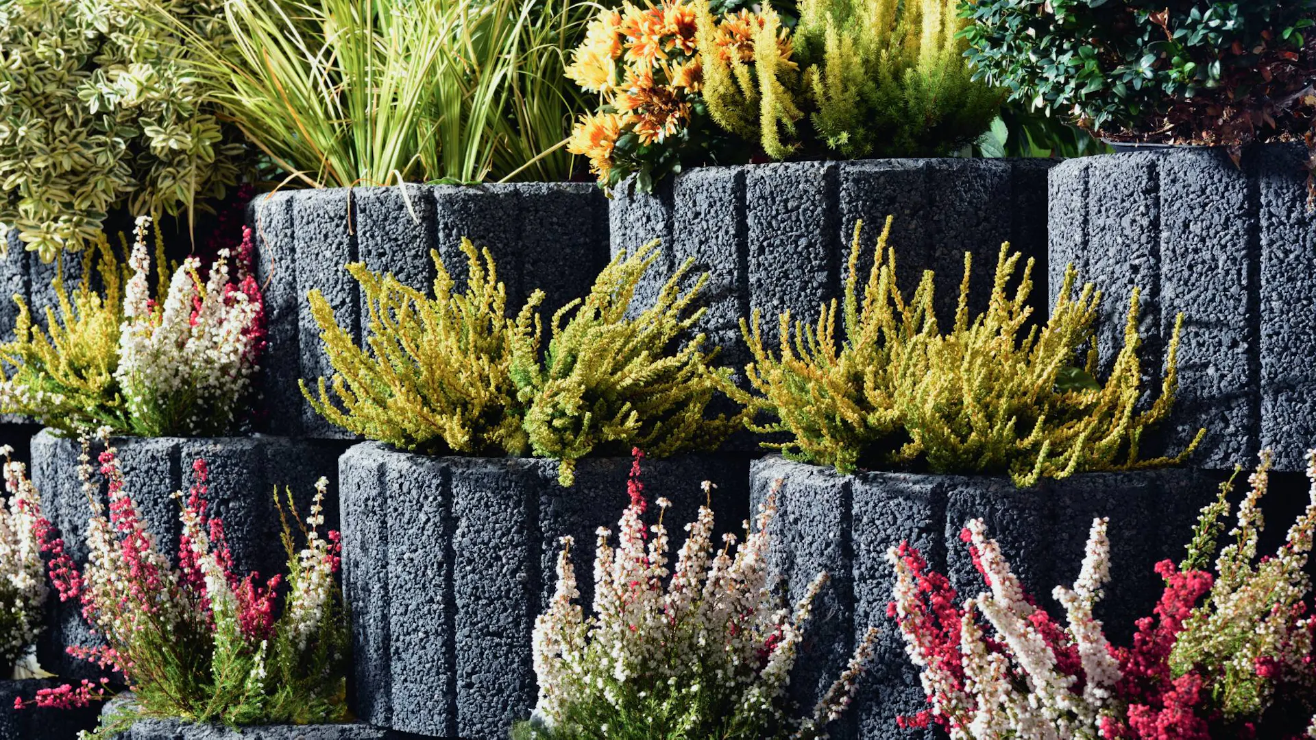 Kruhy s rostlinami na svahu