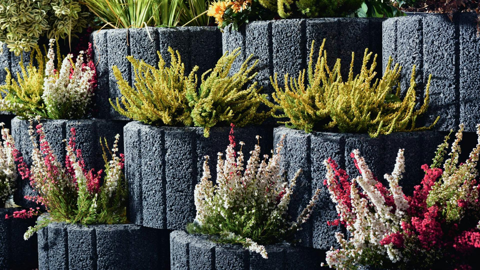 Bepflanzte Pflanzsteine am Hang