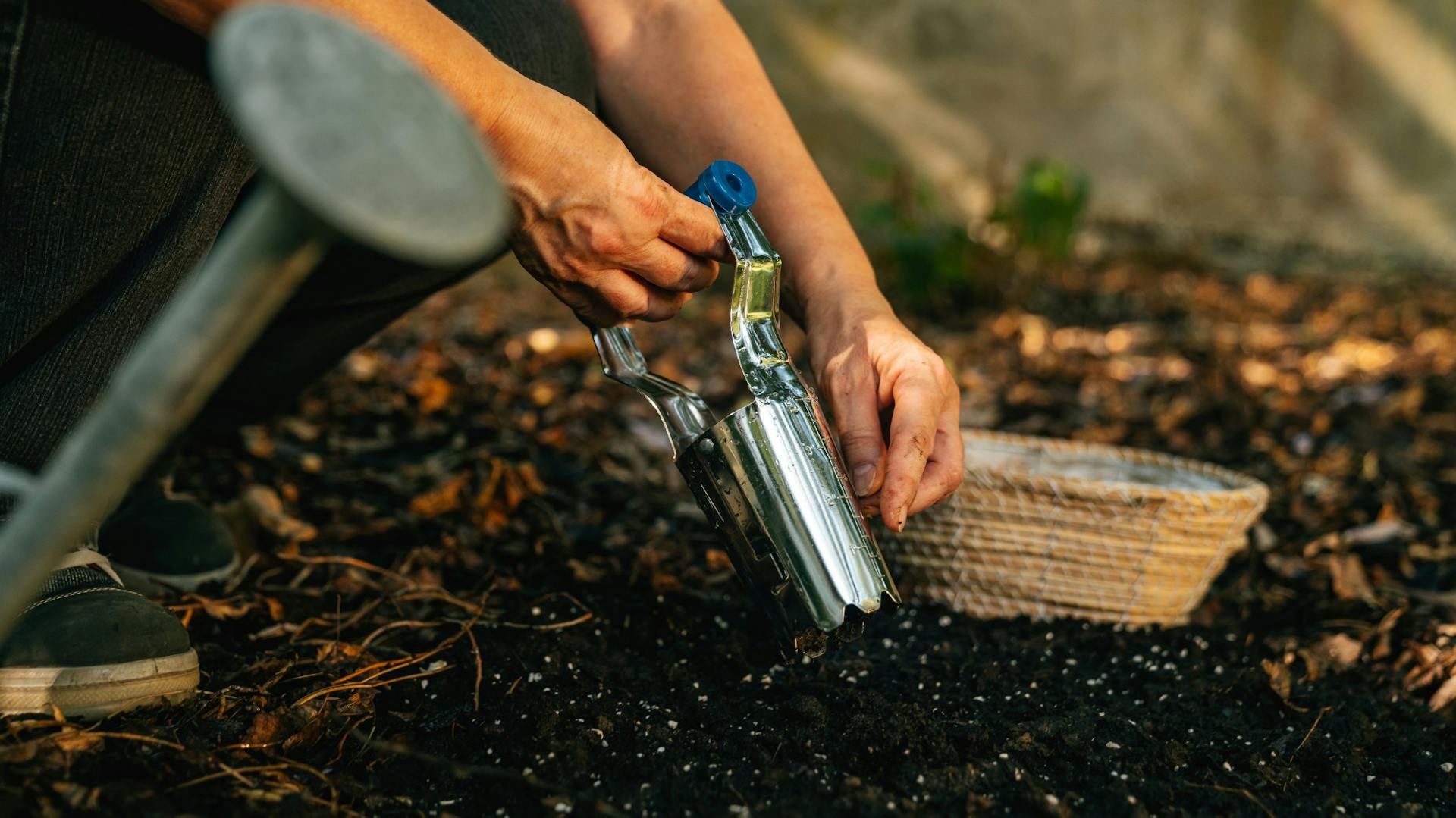 Hagymák ültetése hagymaültető segítségével