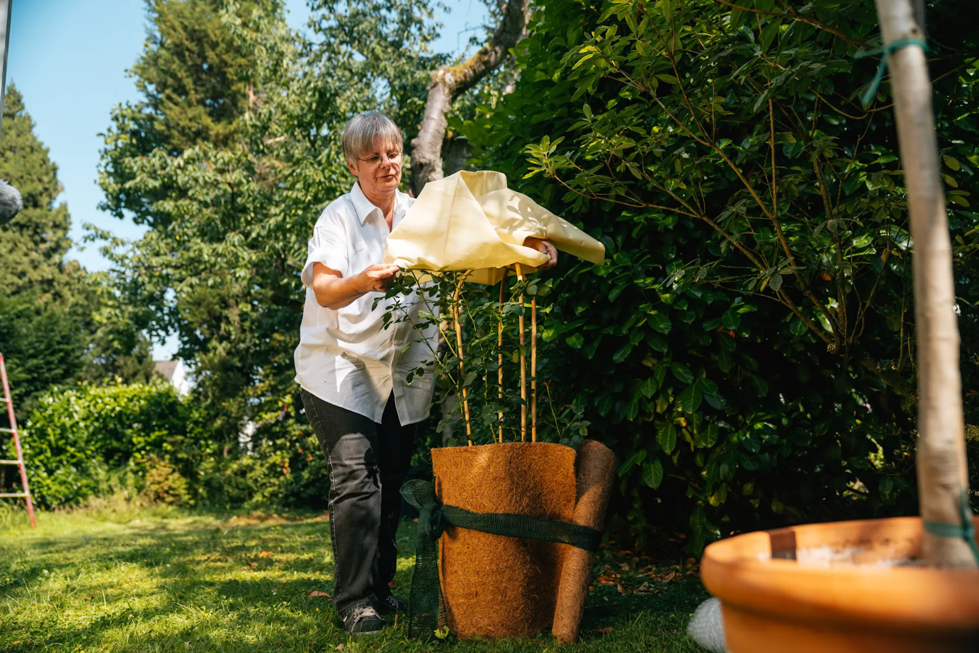 Una donna applica un rivestimento termico alle piante da vaso nel giardino autunnale