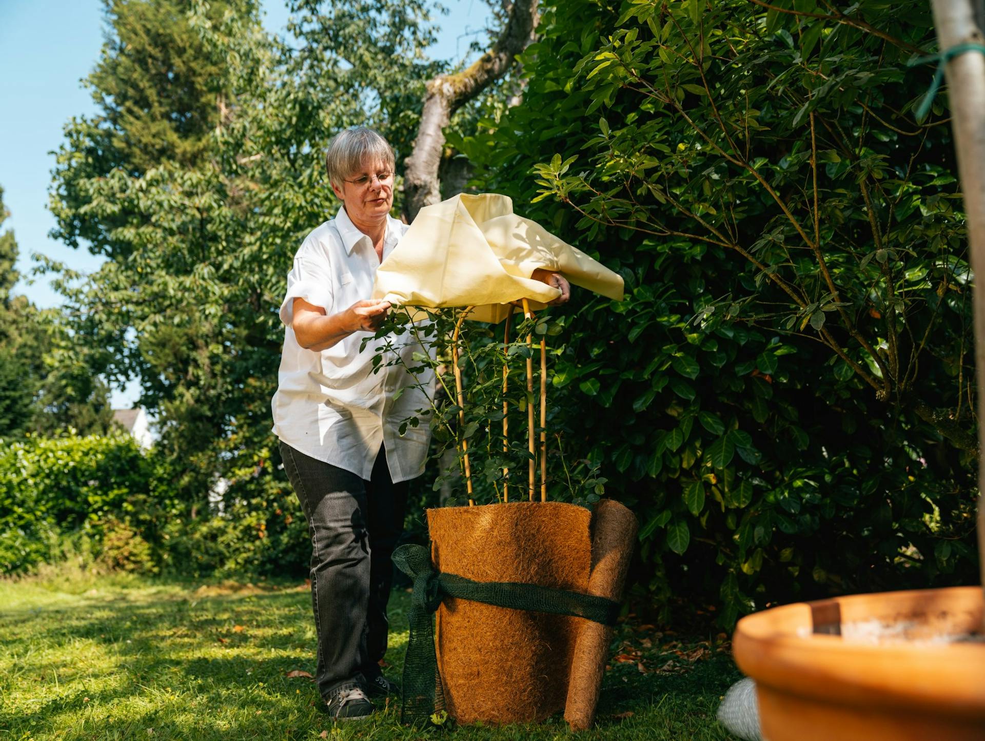 Eine Frau schützt eine Pflanze im Garten mit einem Vlies.