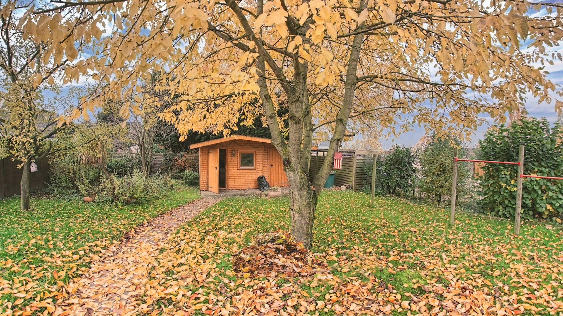 Gartenhaus im Herbst mit Laub und Garten