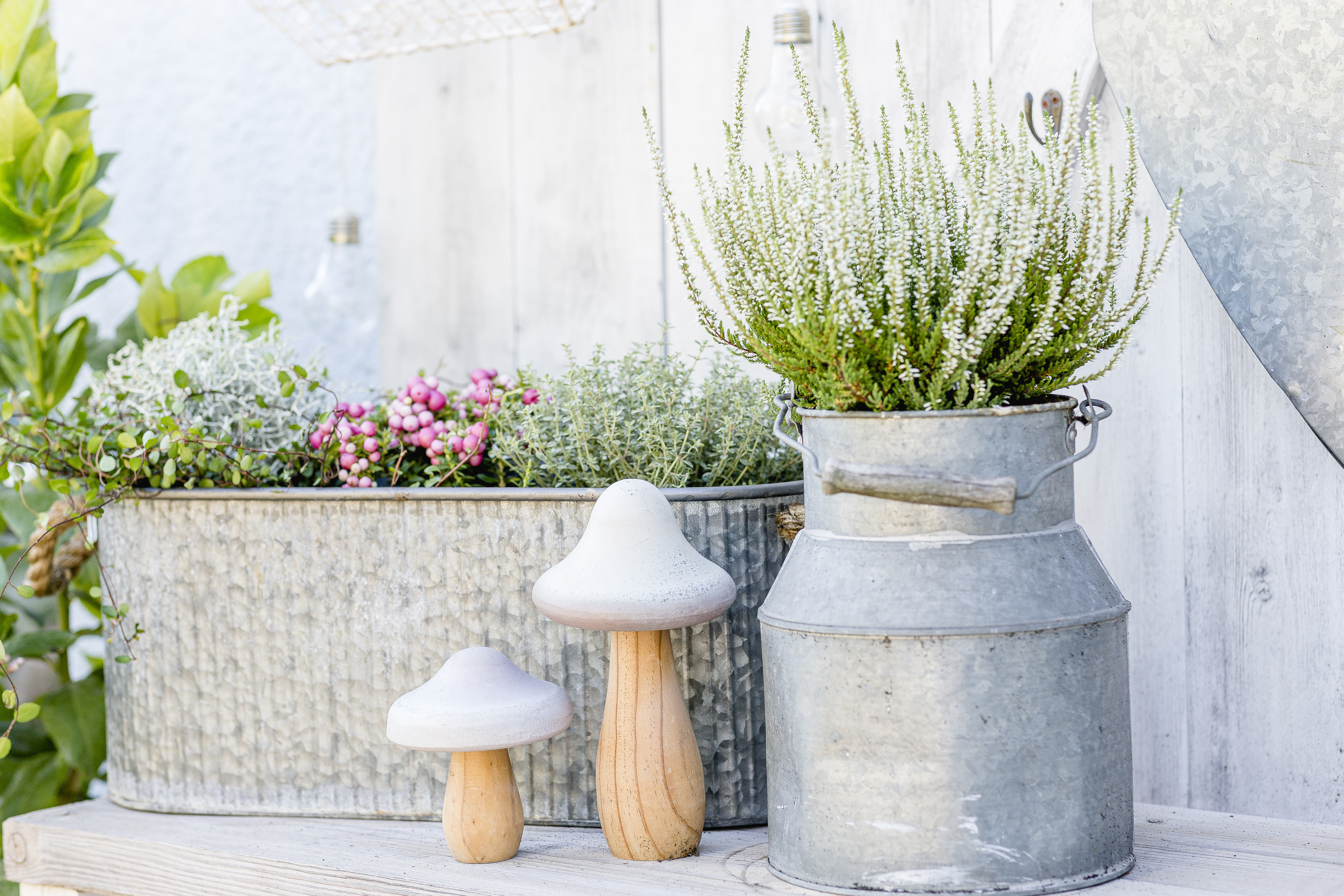 Blühpflanzen im Garten ganzjährig kombinieren OBI