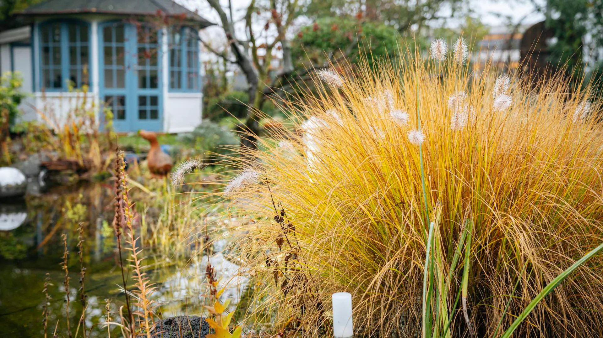 Erba nel giardino autunnale con gazebo